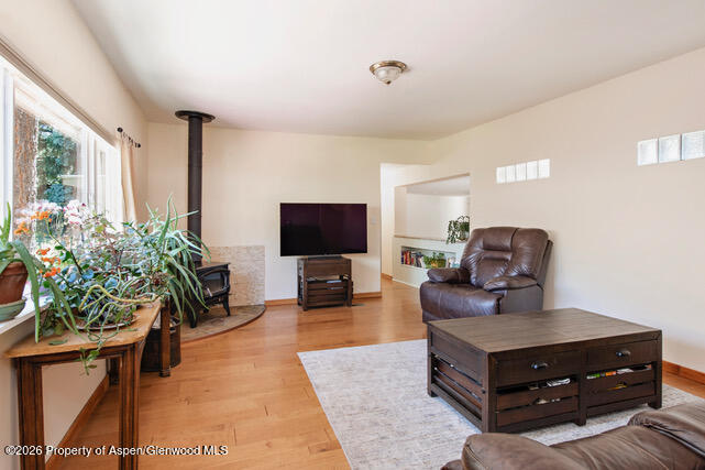 43 Bear Claw Aspen CO 81611