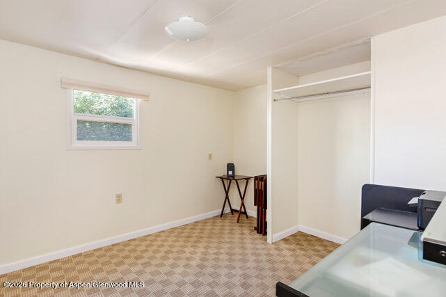 43 Bear Claw Aspen CO 81611