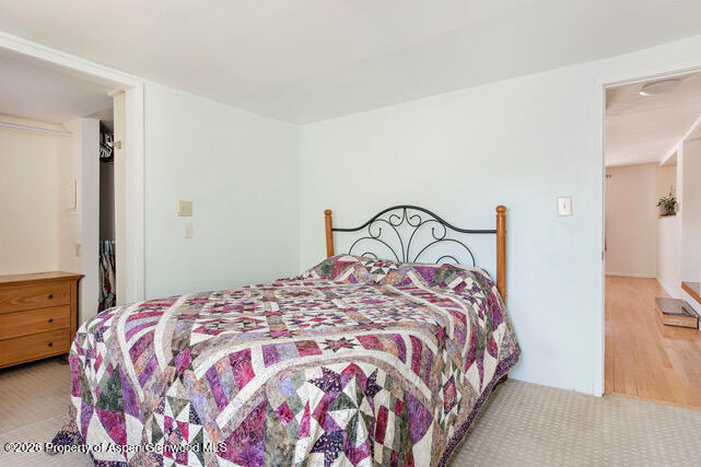 43 Bear Claw Aspen CO 81611