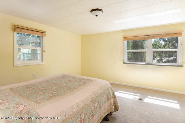 43 Bear Claw Aspen CO 81611