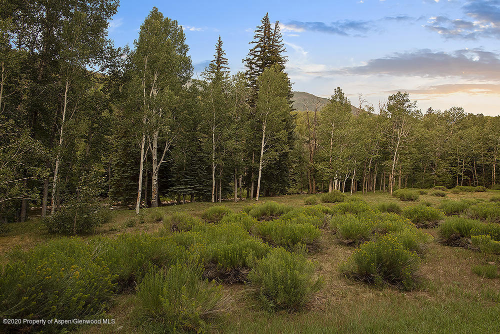 1260 Red Butte Drive Aspen CO 81611