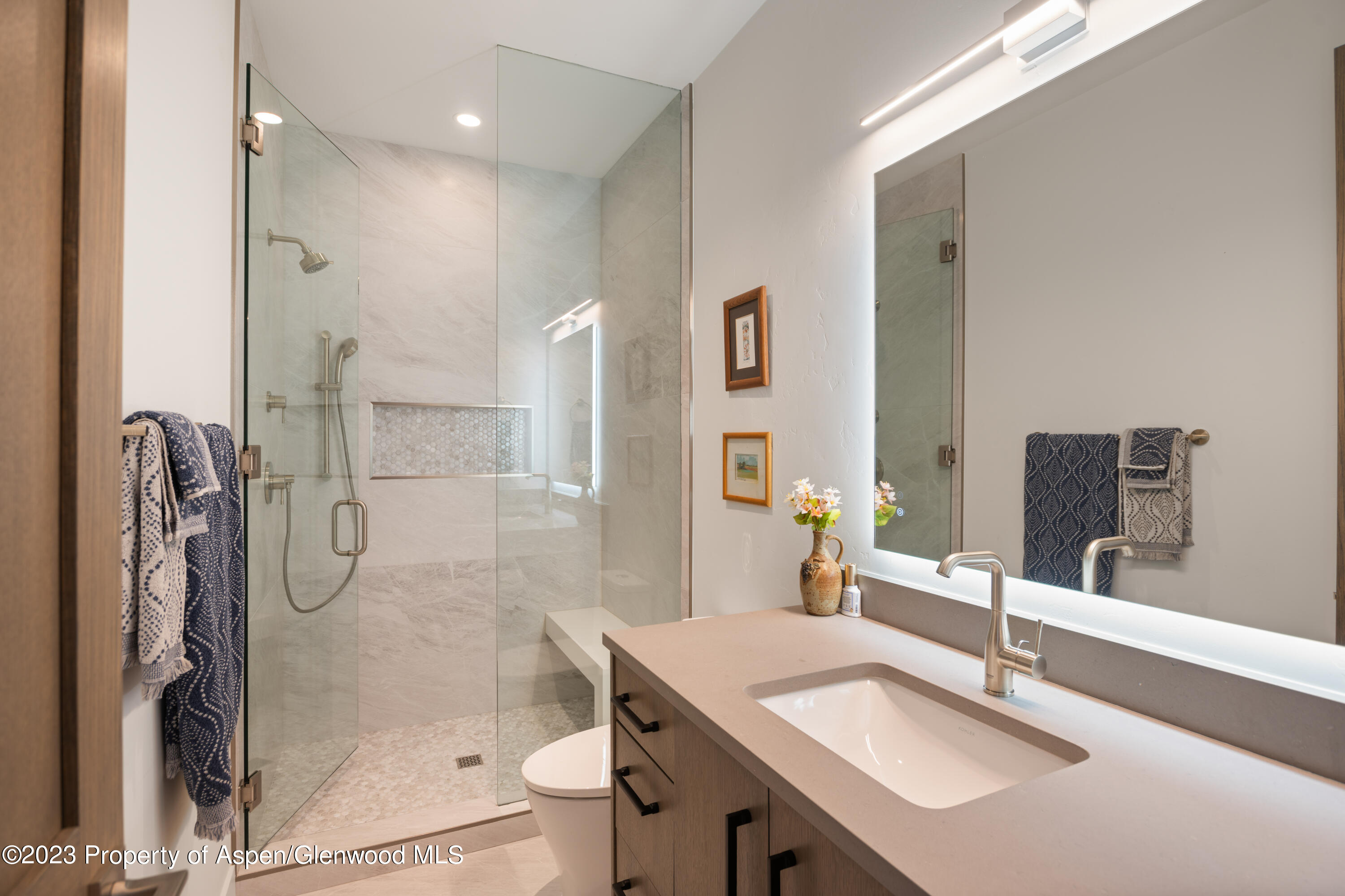 731 Perry Ridge Carbondale CO 81623