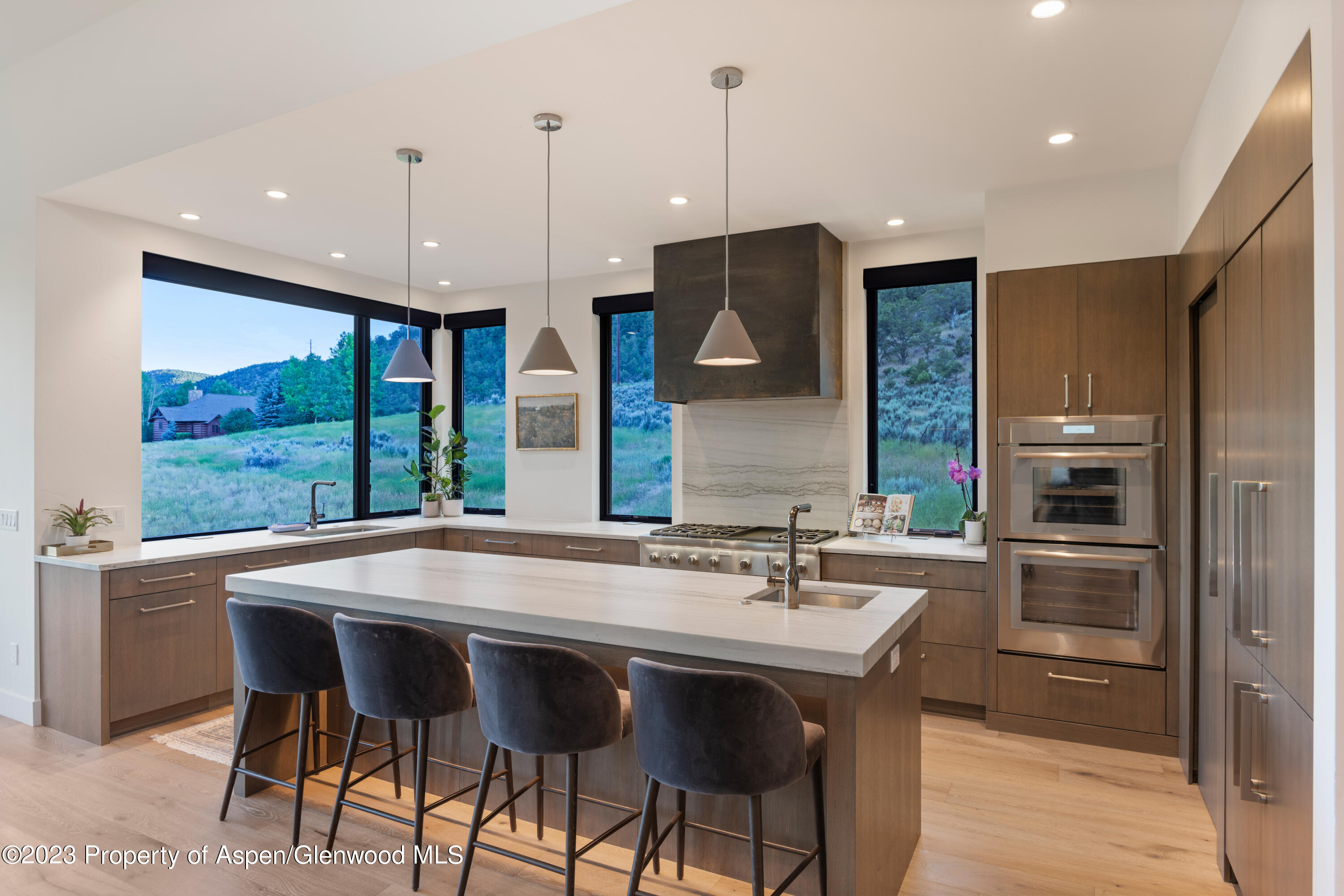 731 Perry Ridge Carbondale CO 81623
