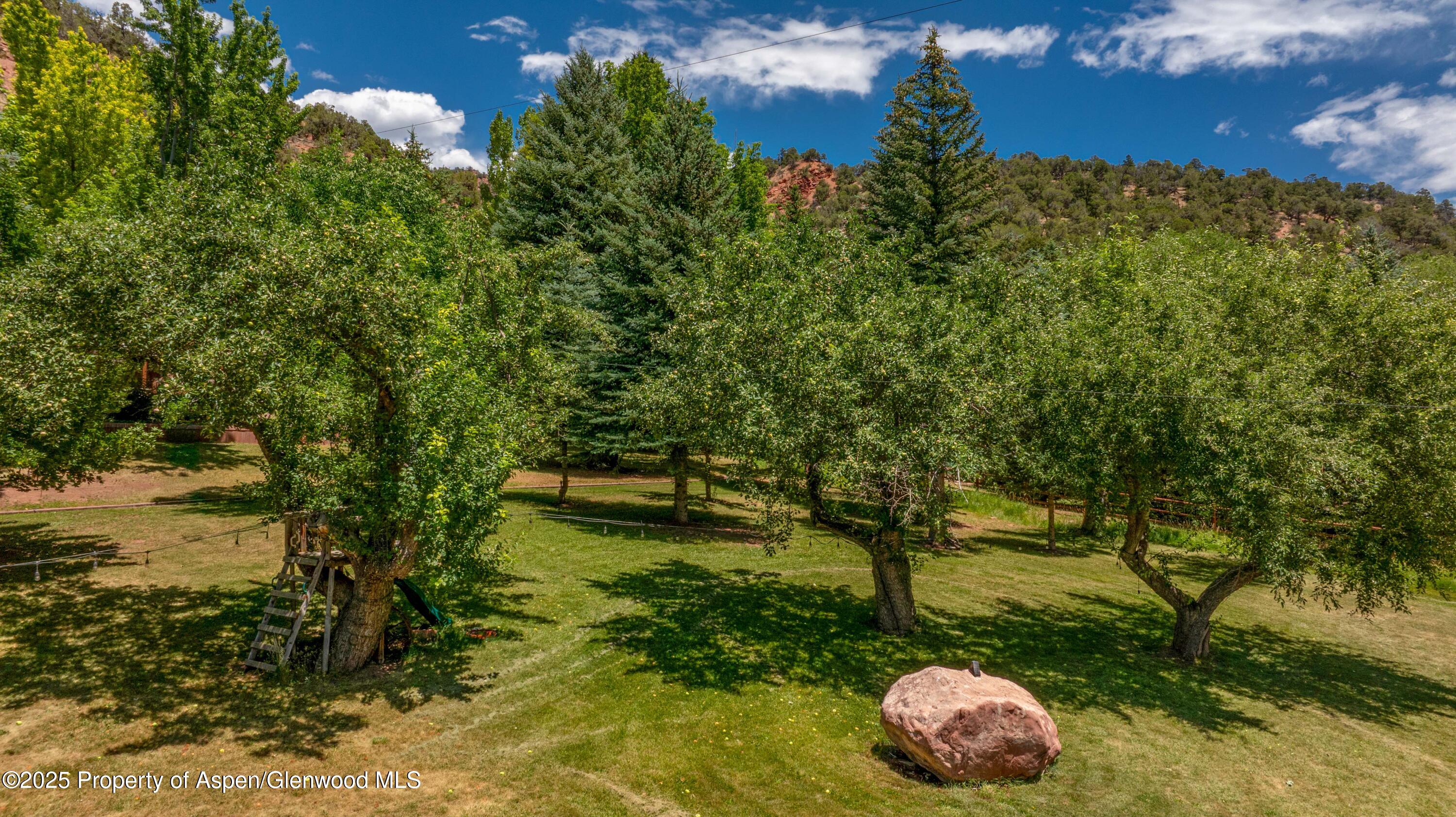 46233 Highway 6 & 24 Glenwood Springs CO 81601