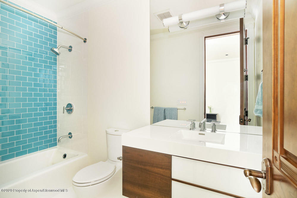 234 W Hallam Street Aspen CO 81611