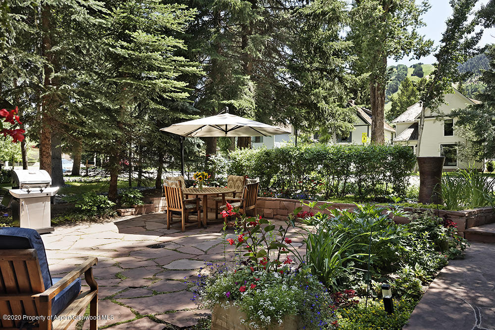 234 W Hallam Street Aspen CO 81611