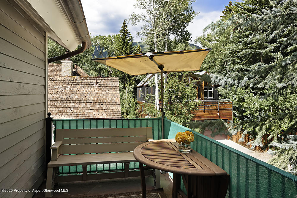 234 W Hallam Street Aspen CO 81611