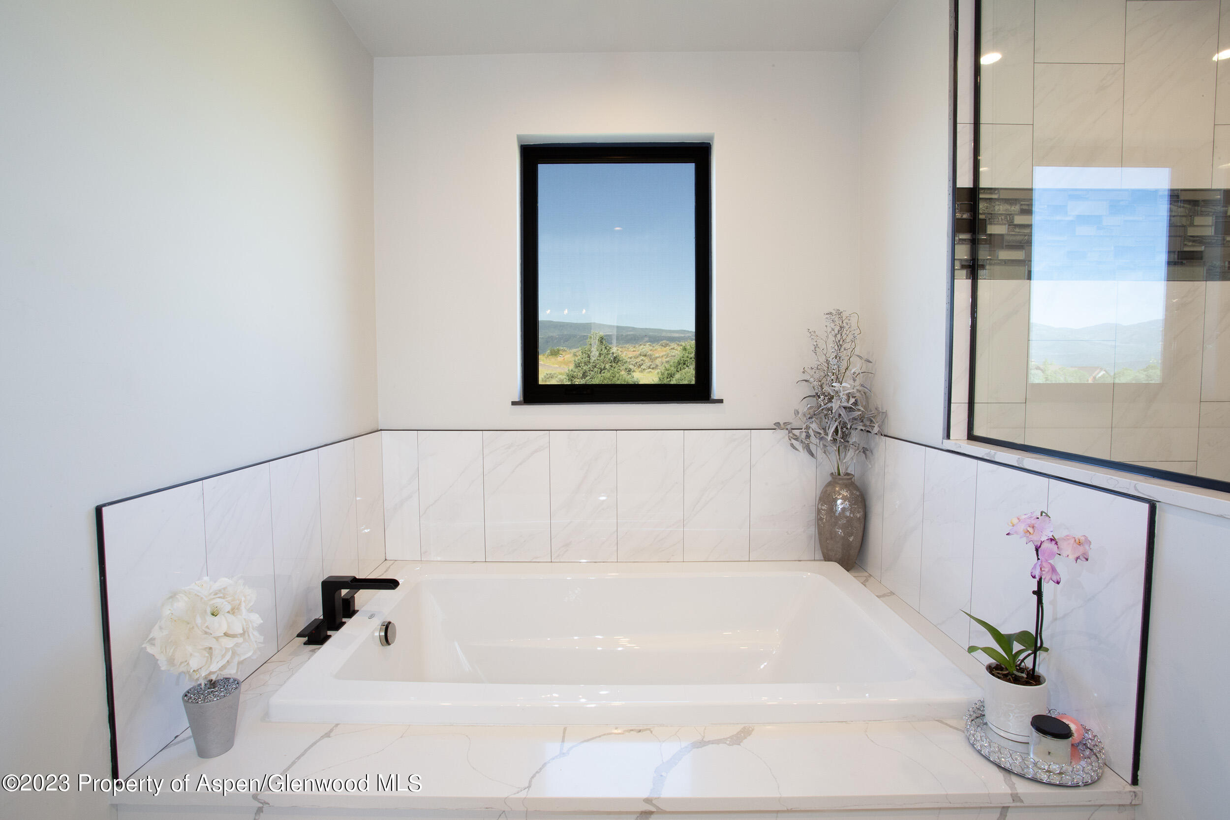 1965 Elk Springs Drive Glenwood Springs CO 81601