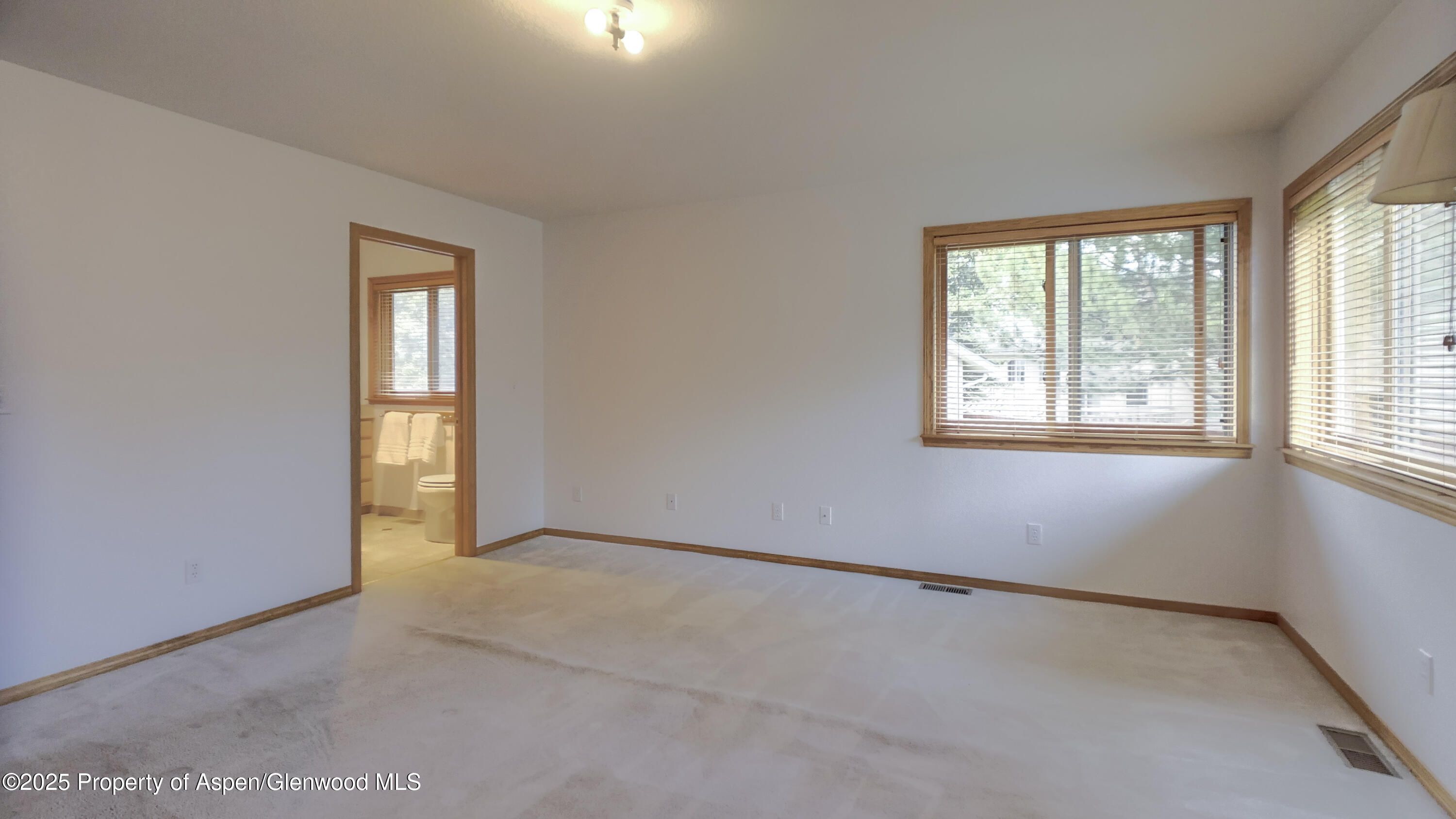 1624 Defiance Drive Carbondale CO 81623