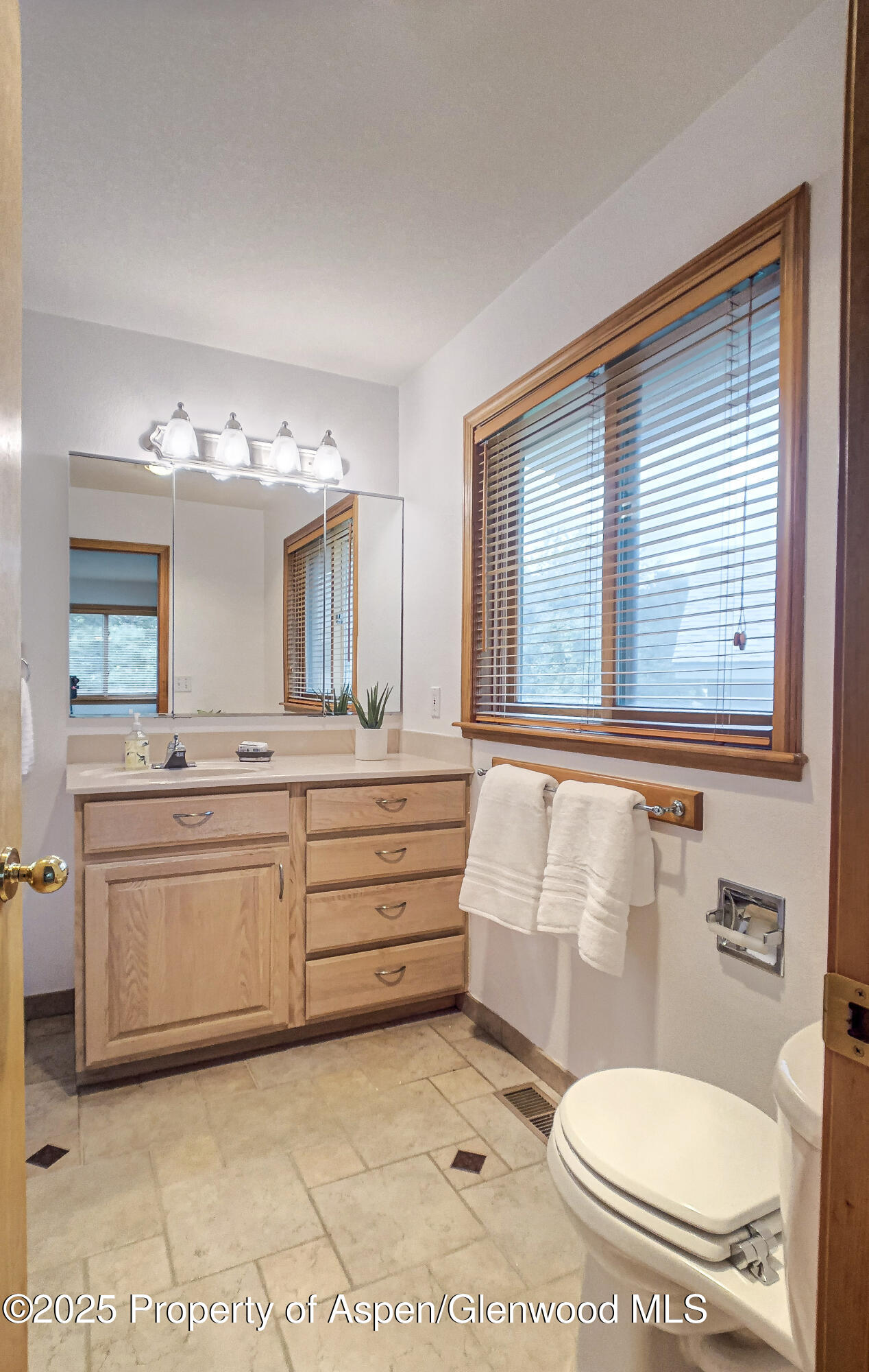 1624 Defiance Drive Carbondale CO 81623