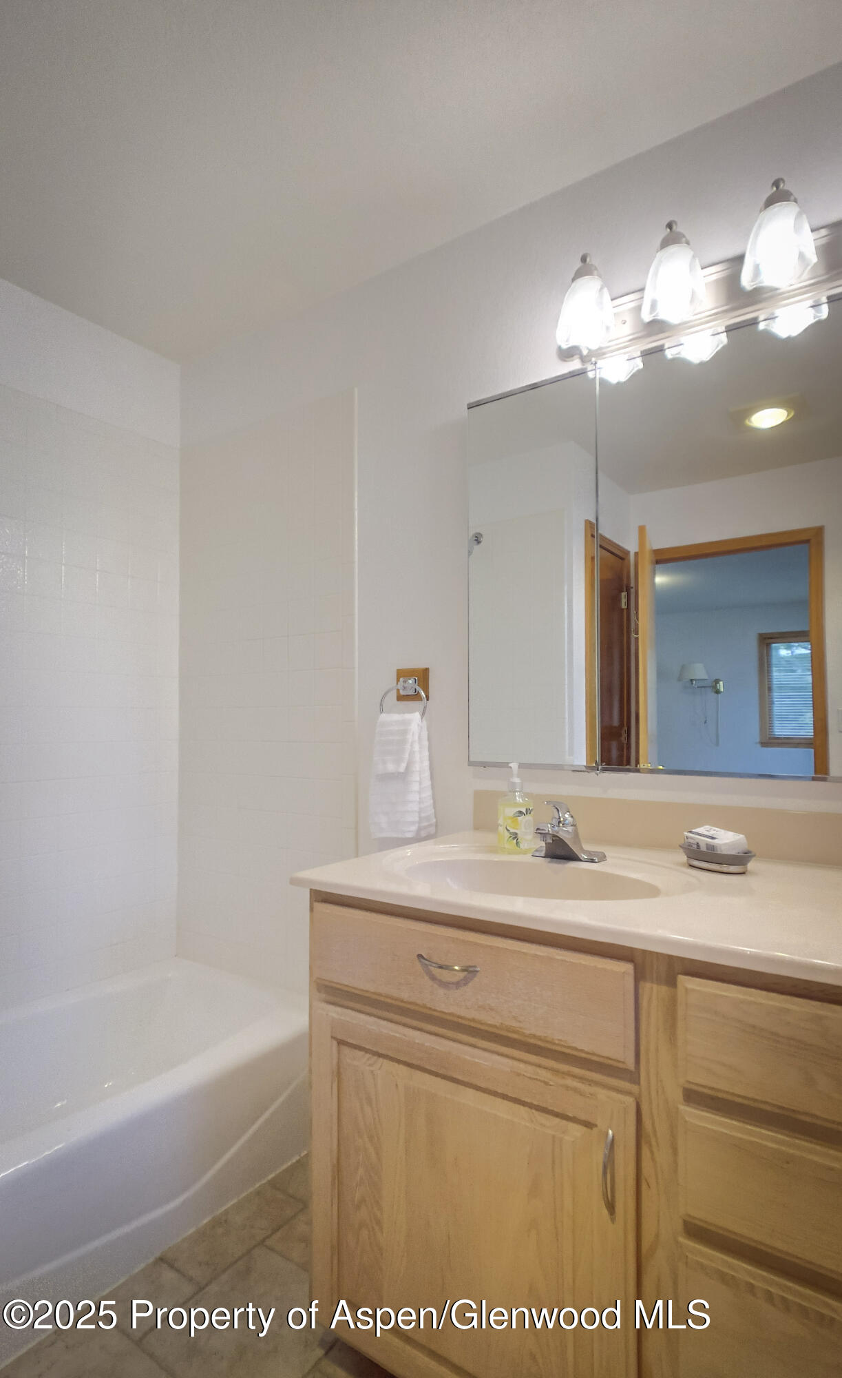 1624 Defiance Drive Carbondale CO 81623