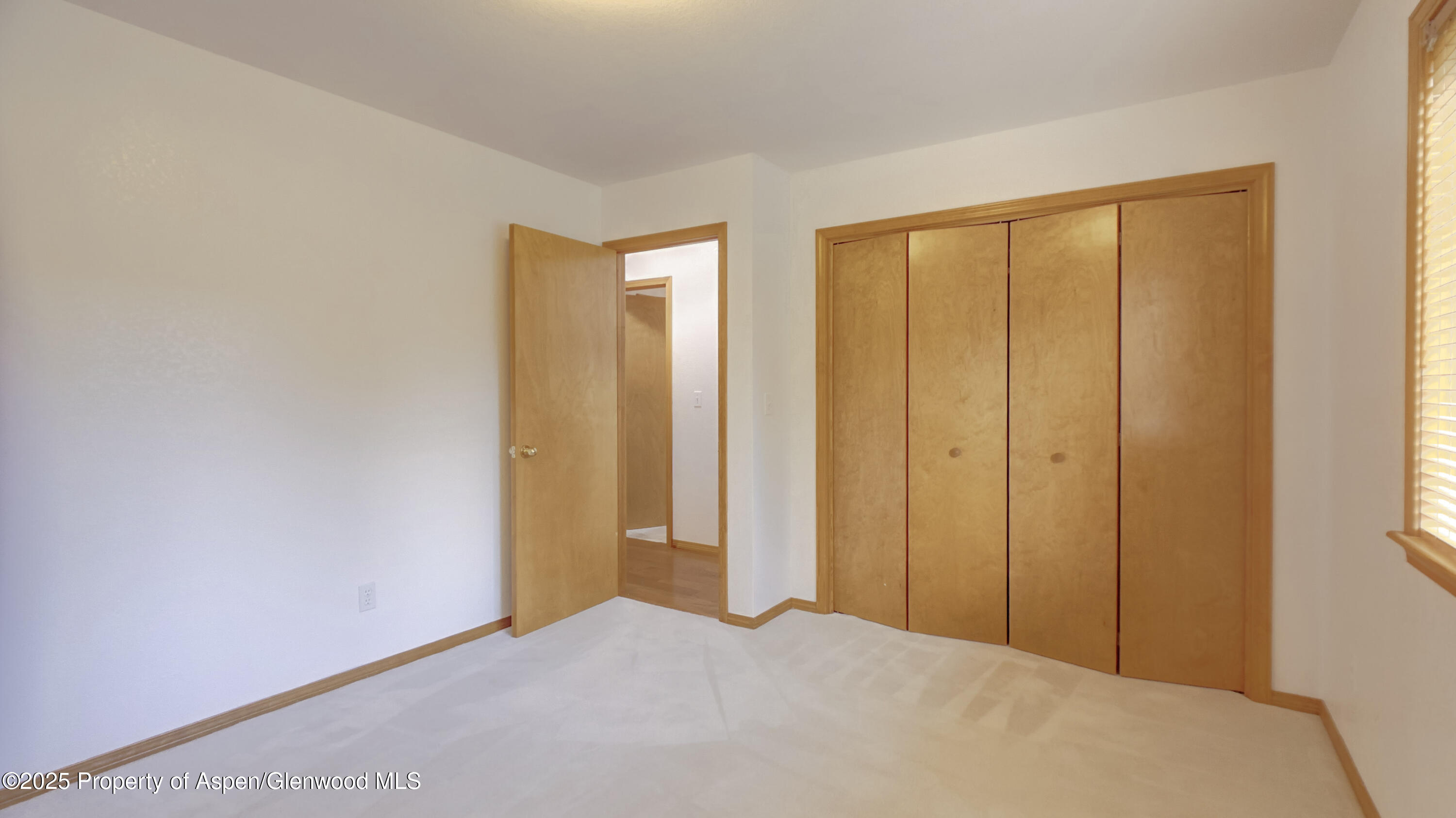 1624 Defiance Drive Carbondale CO 81623