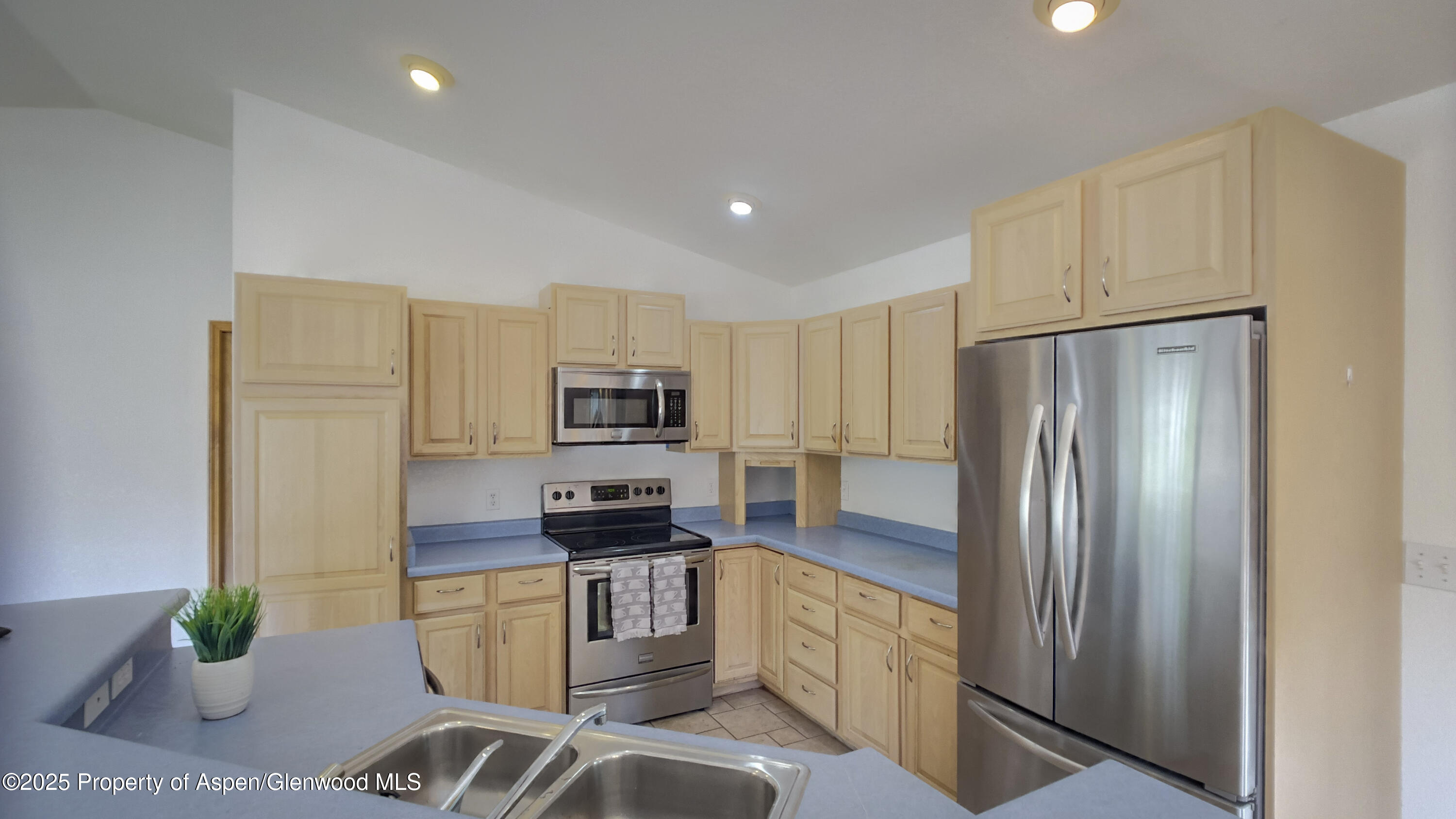 1624 Defiance Drive Carbondale CO 81623