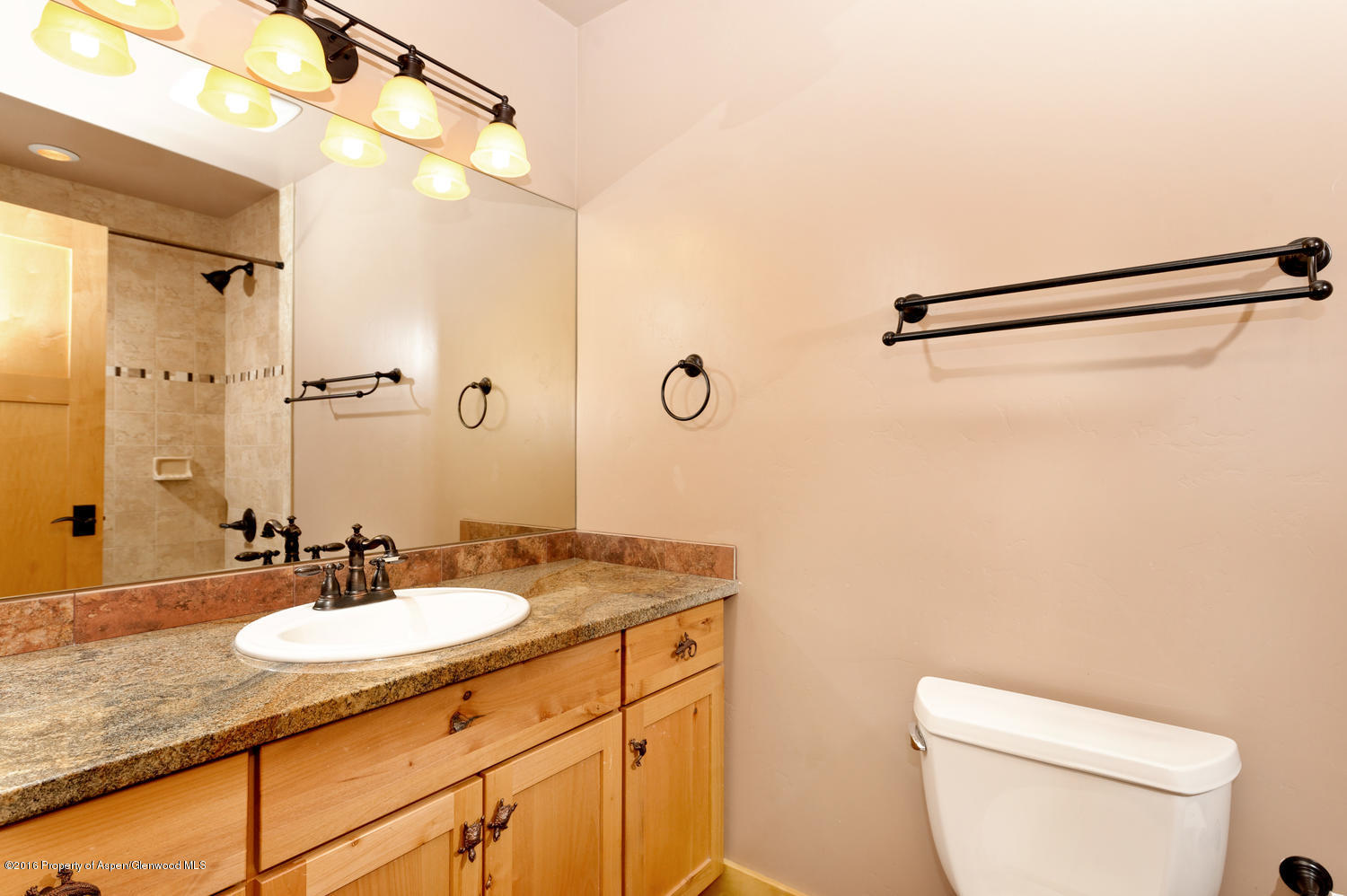 424 Red Cliff Circle Glenwood Springs CO 81601