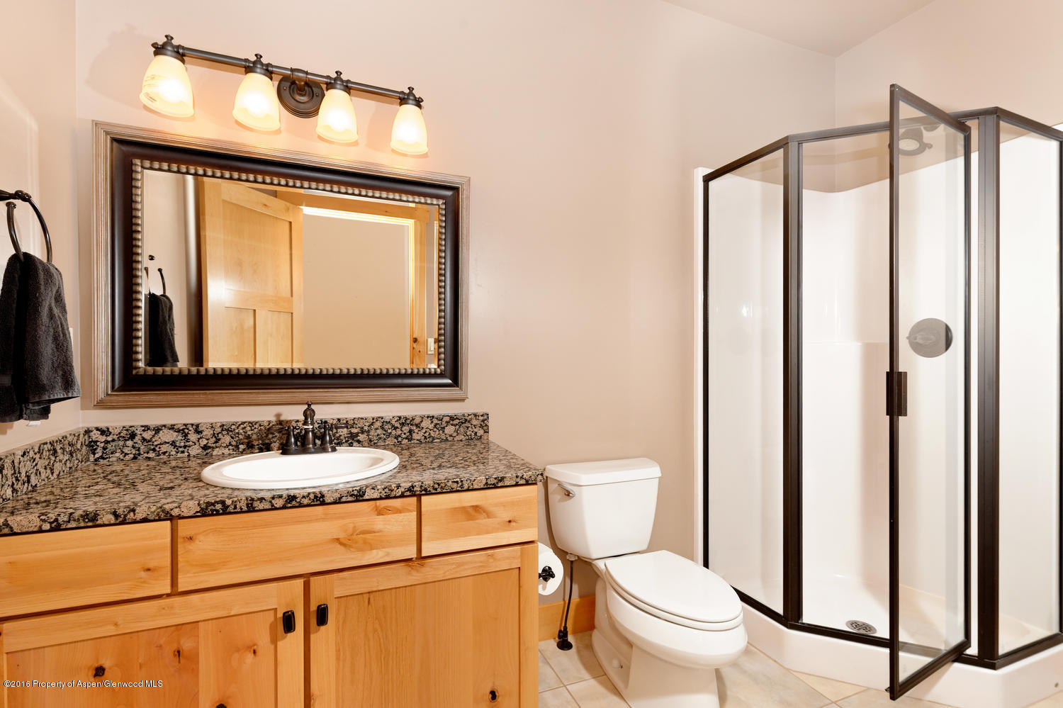 424 Red Cliff Circle Glenwood Springs CO 81601