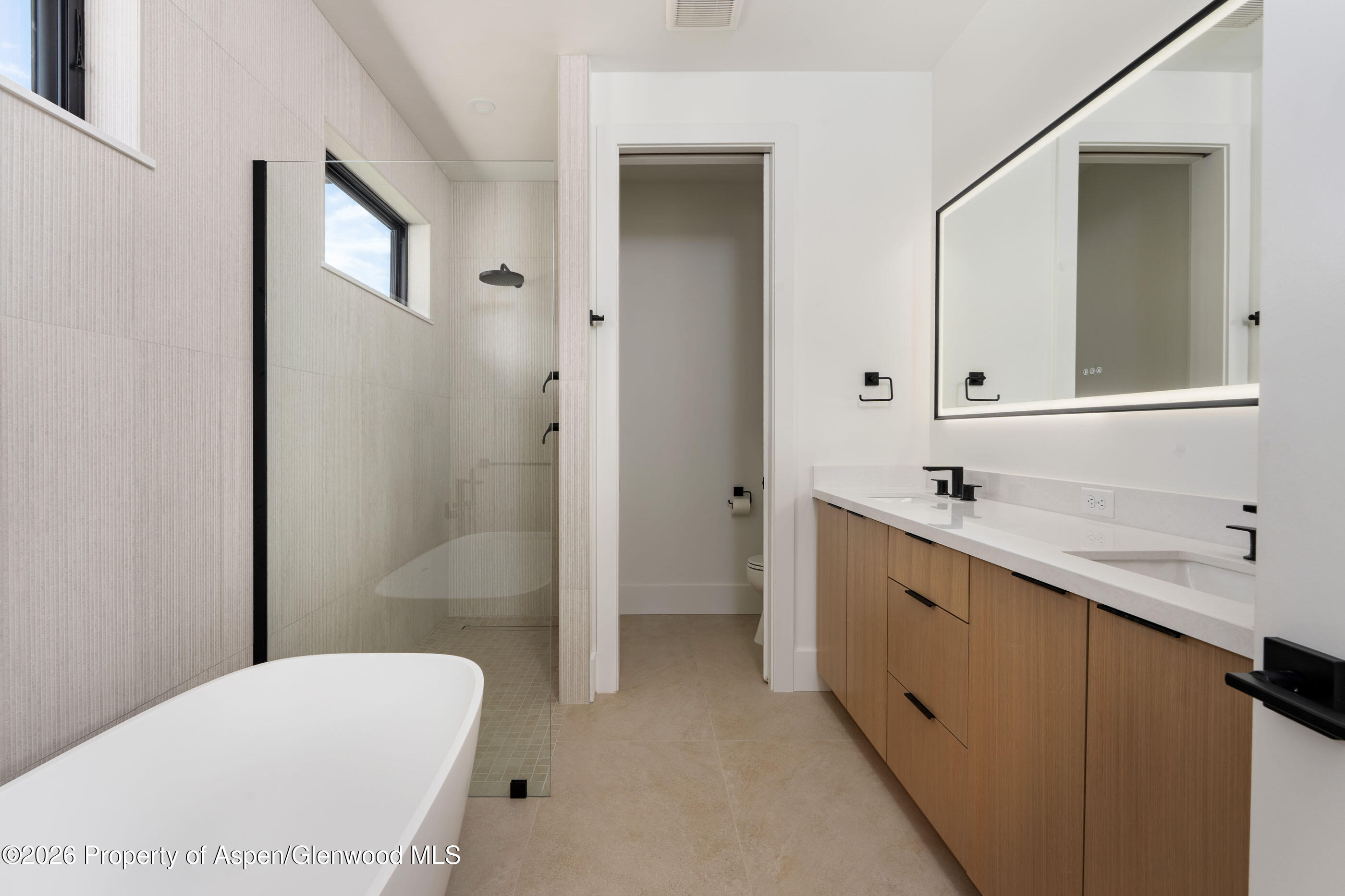 428 Amesbury Drive Basalt CO 81621