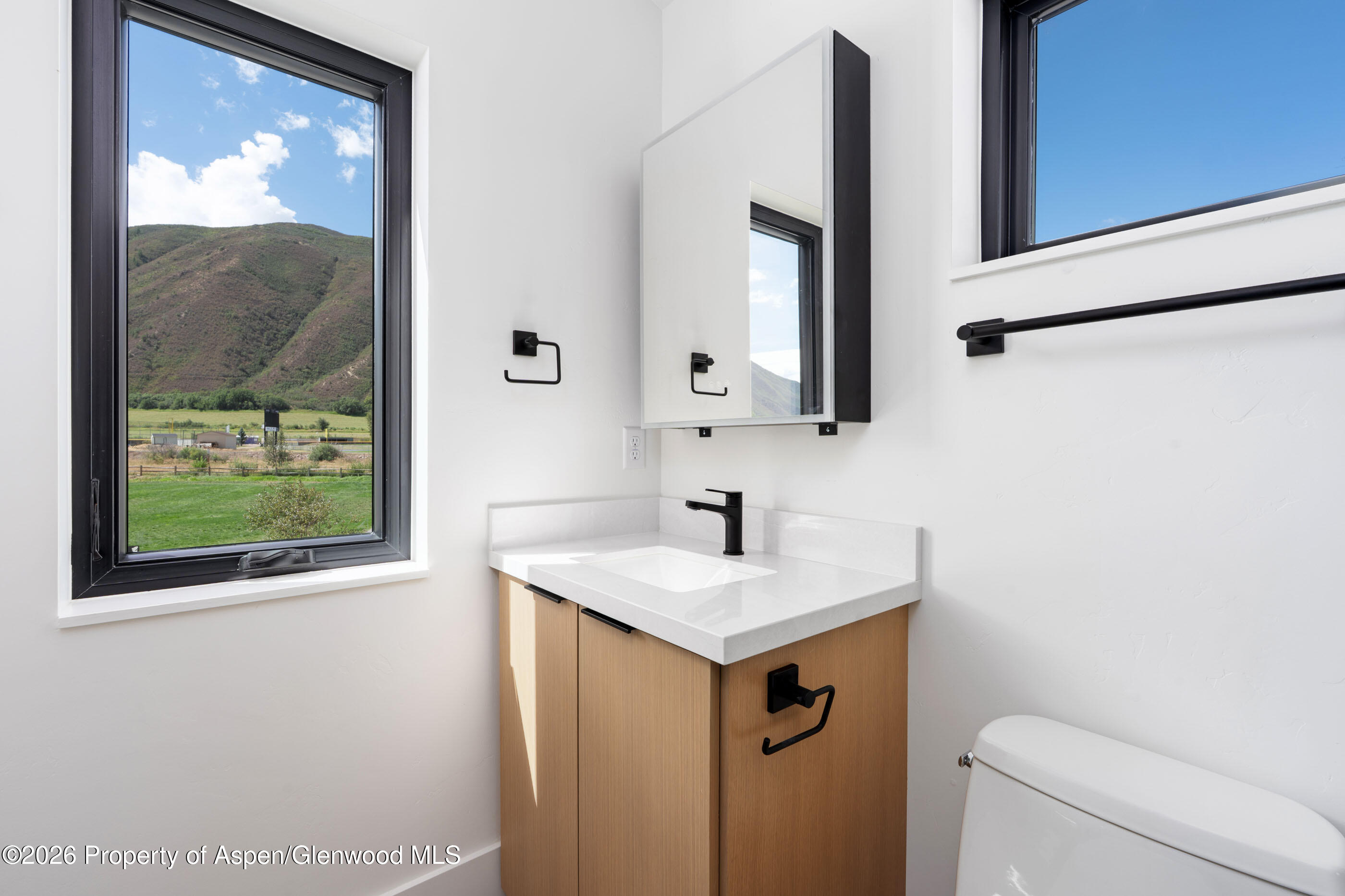 428 Amesbury Drive Basalt CO 81621