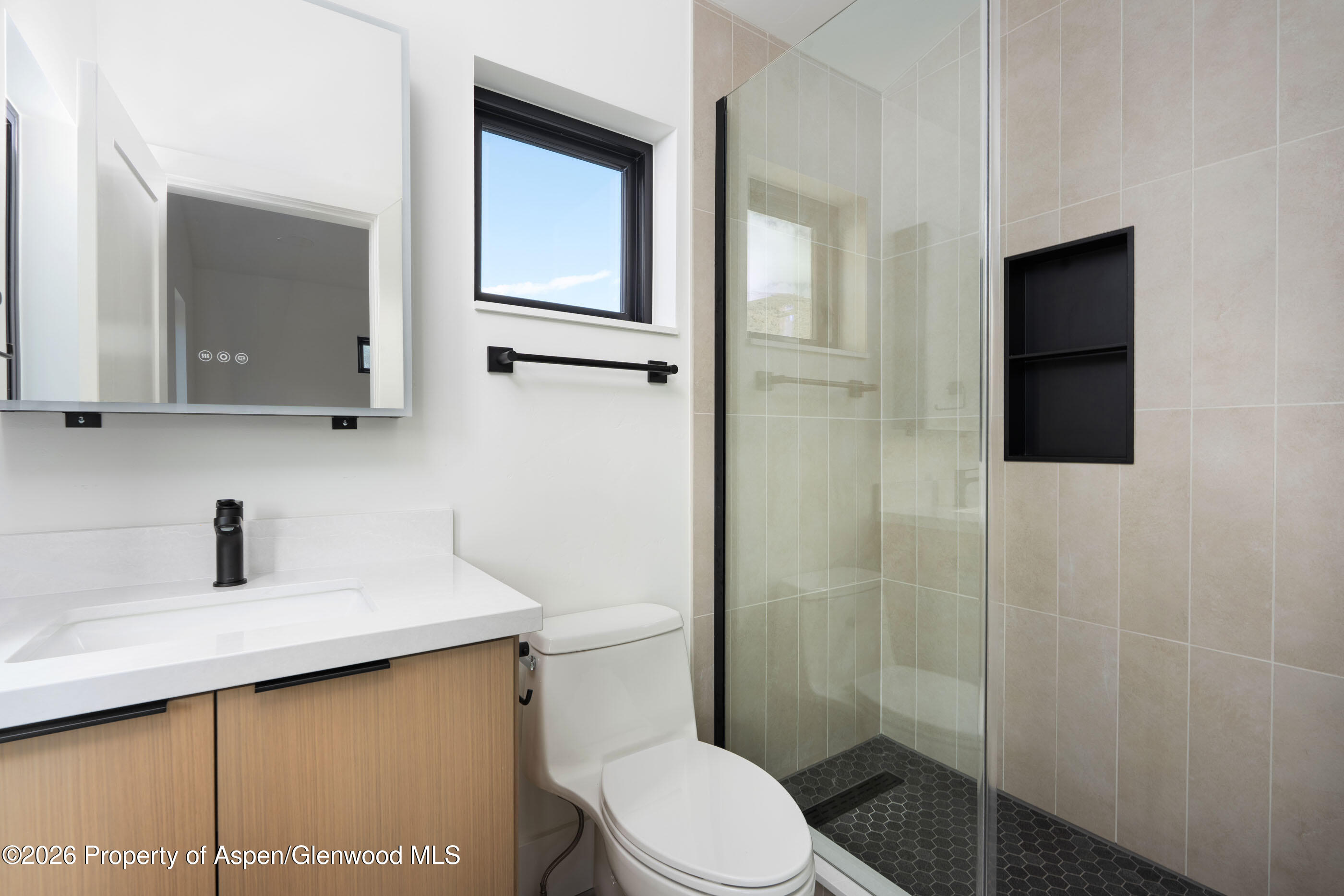 428 Amesbury Drive Basalt CO 81621