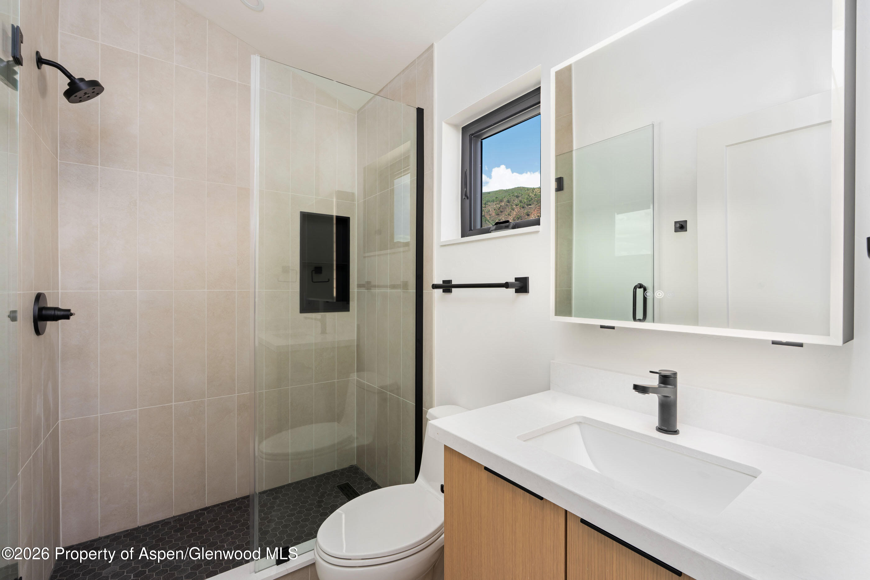 428 Amesbury Drive Basalt CO 81621
