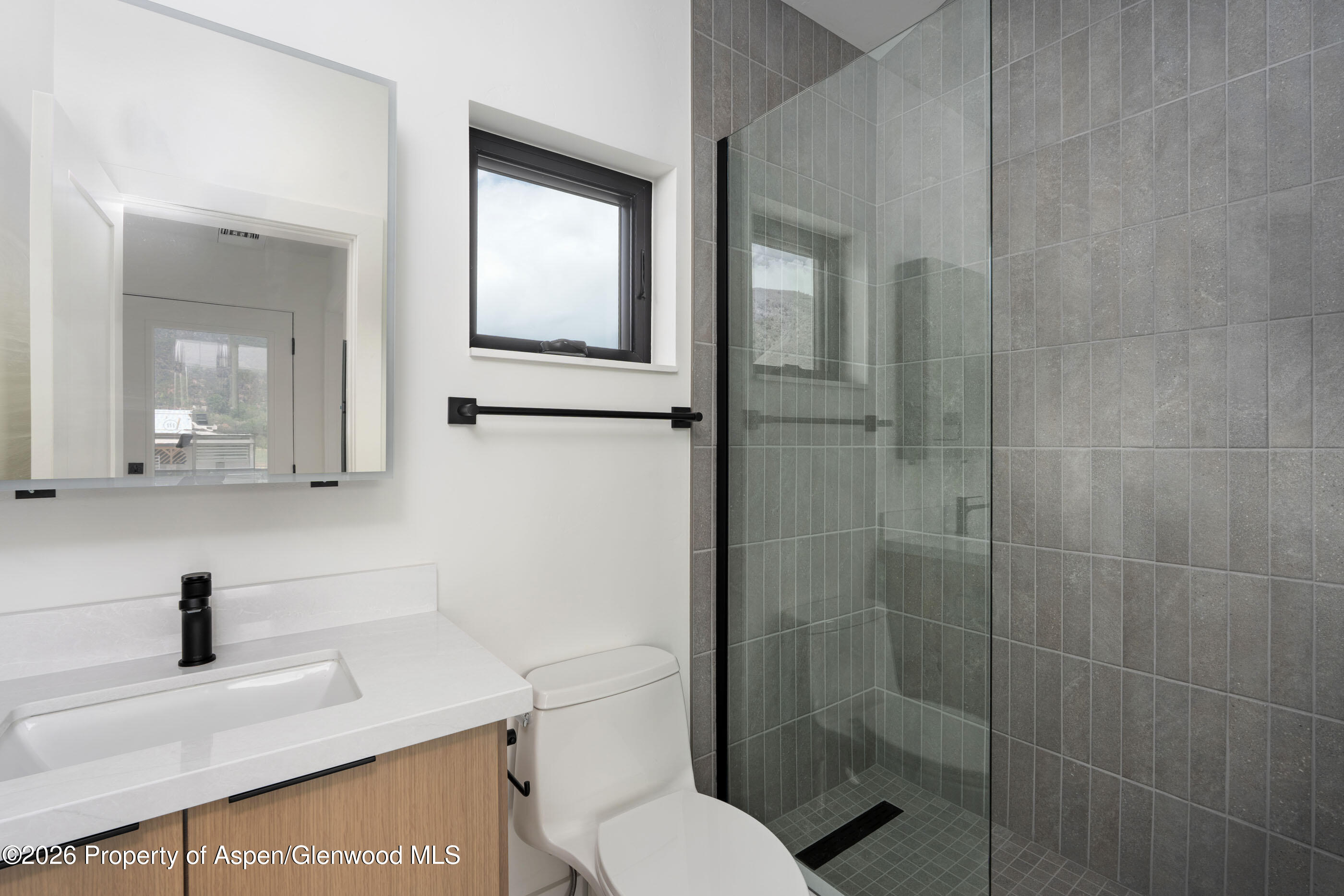 428 Amesbury Drive Basalt CO 81621