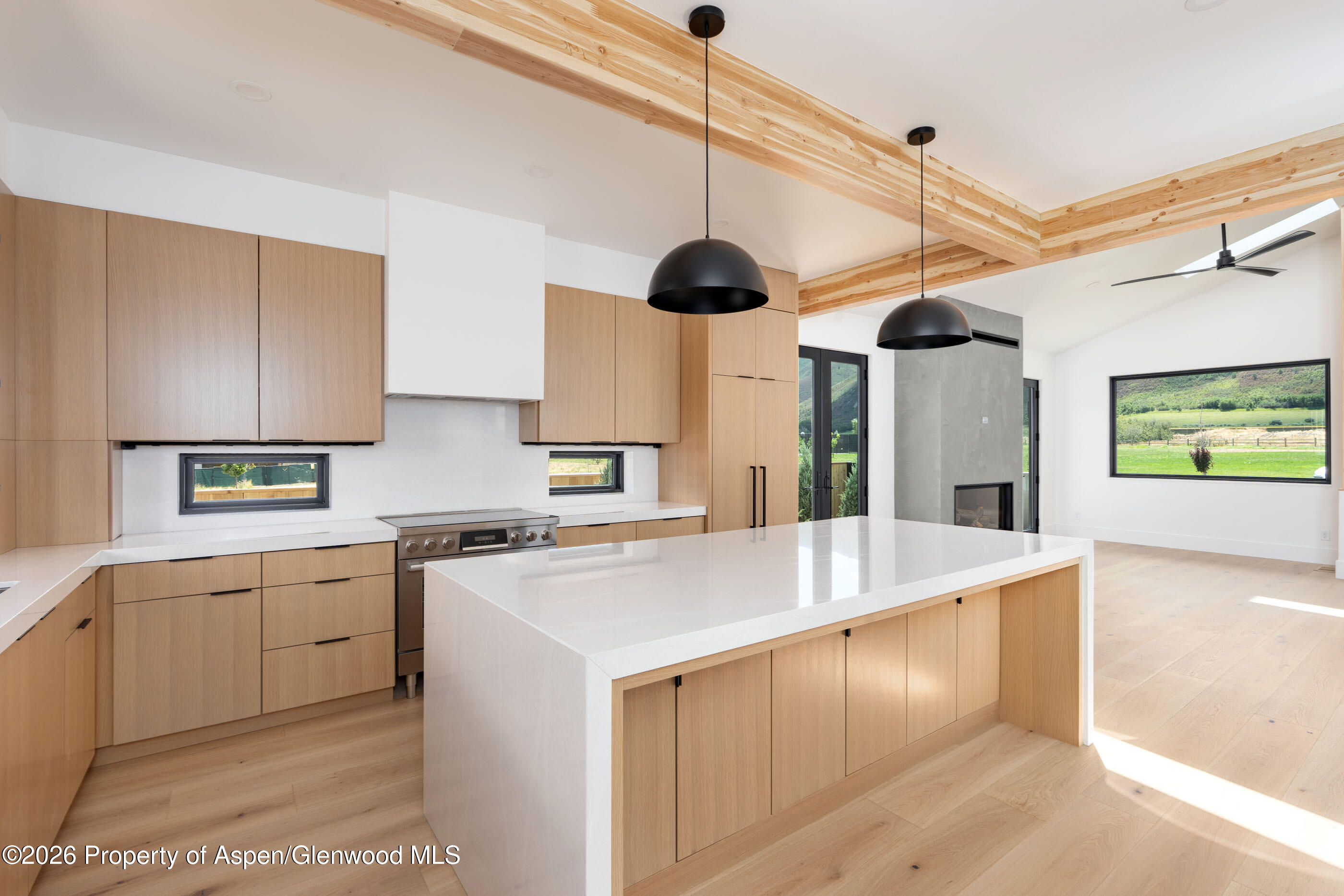 428 Amesbury Drive Basalt CO 81621