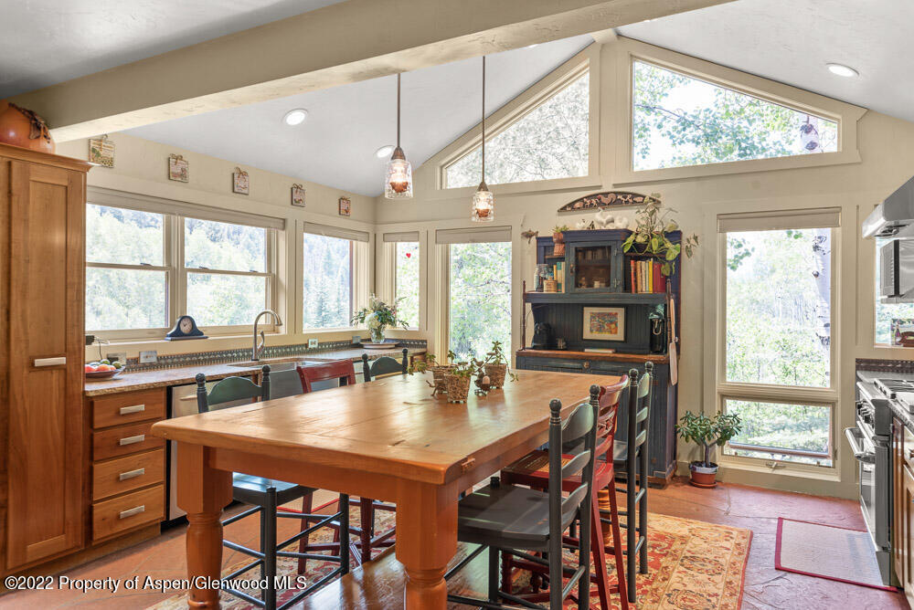 73 Juniper Court Marble CO 81623