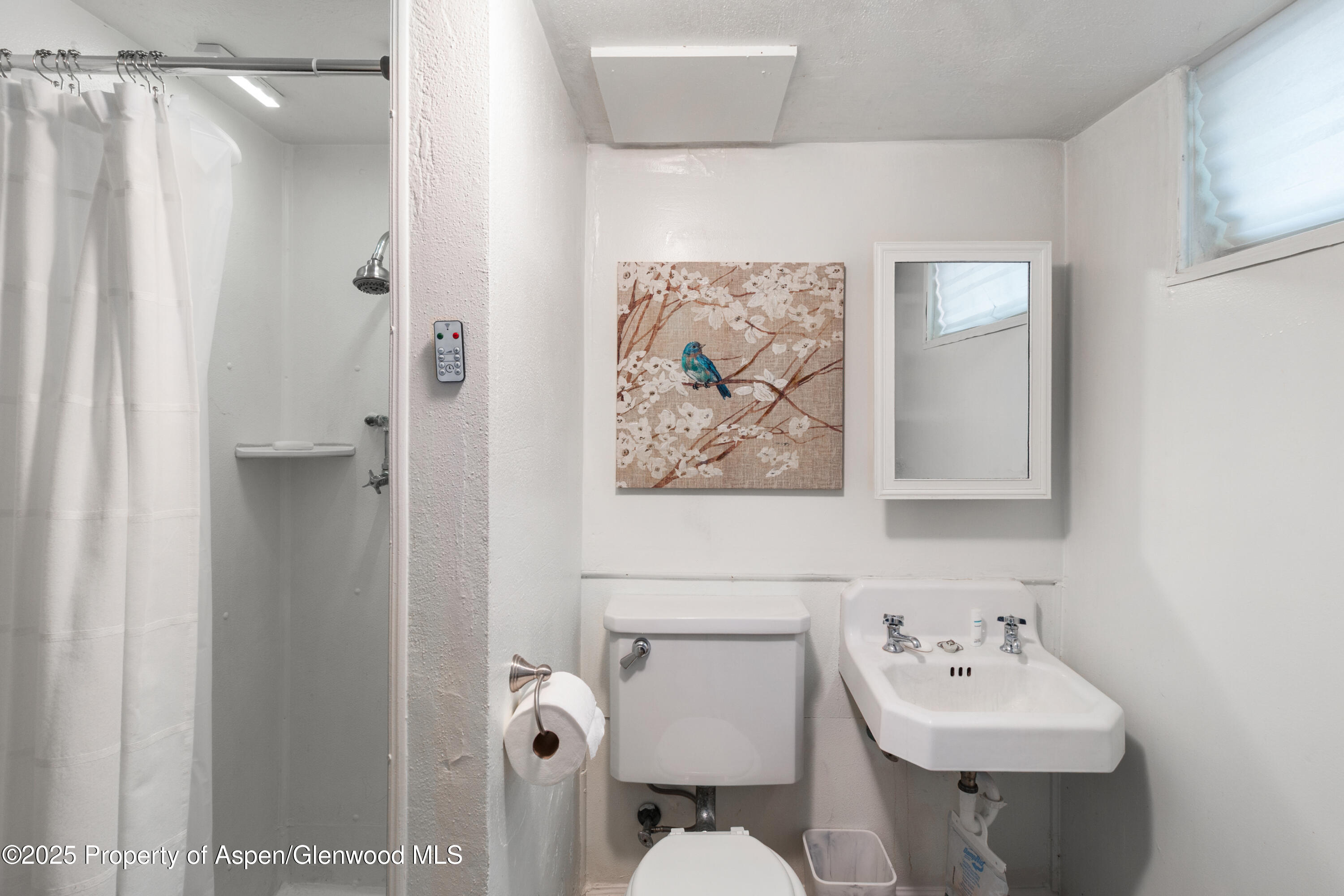 519 Maple Street Glenwood Springs CO 81601