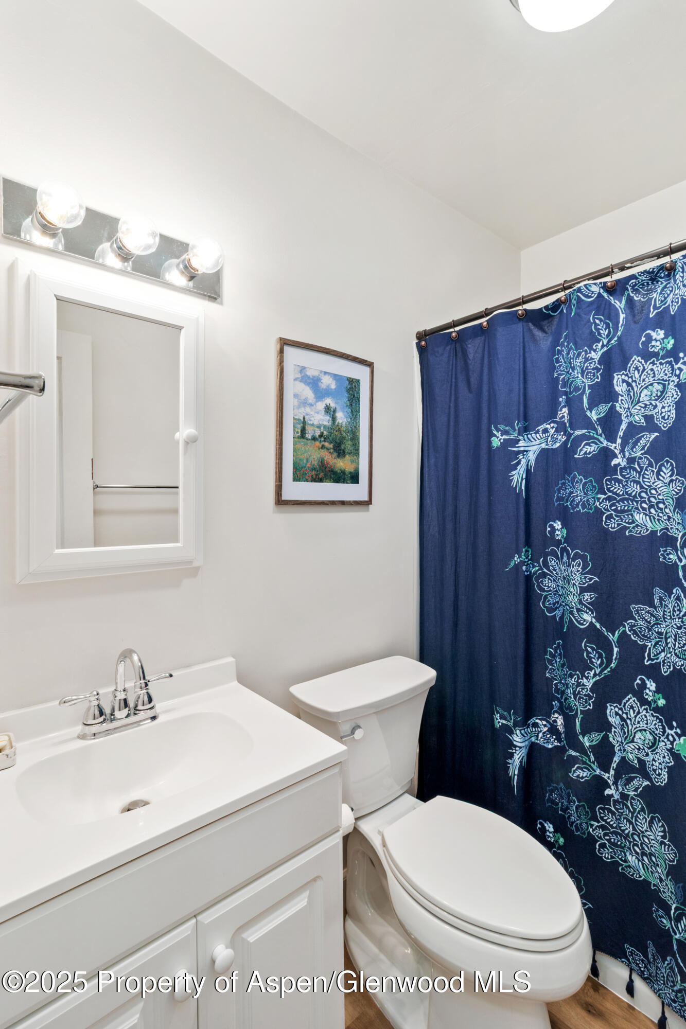 519 Maple Street Glenwood Springs CO 81601