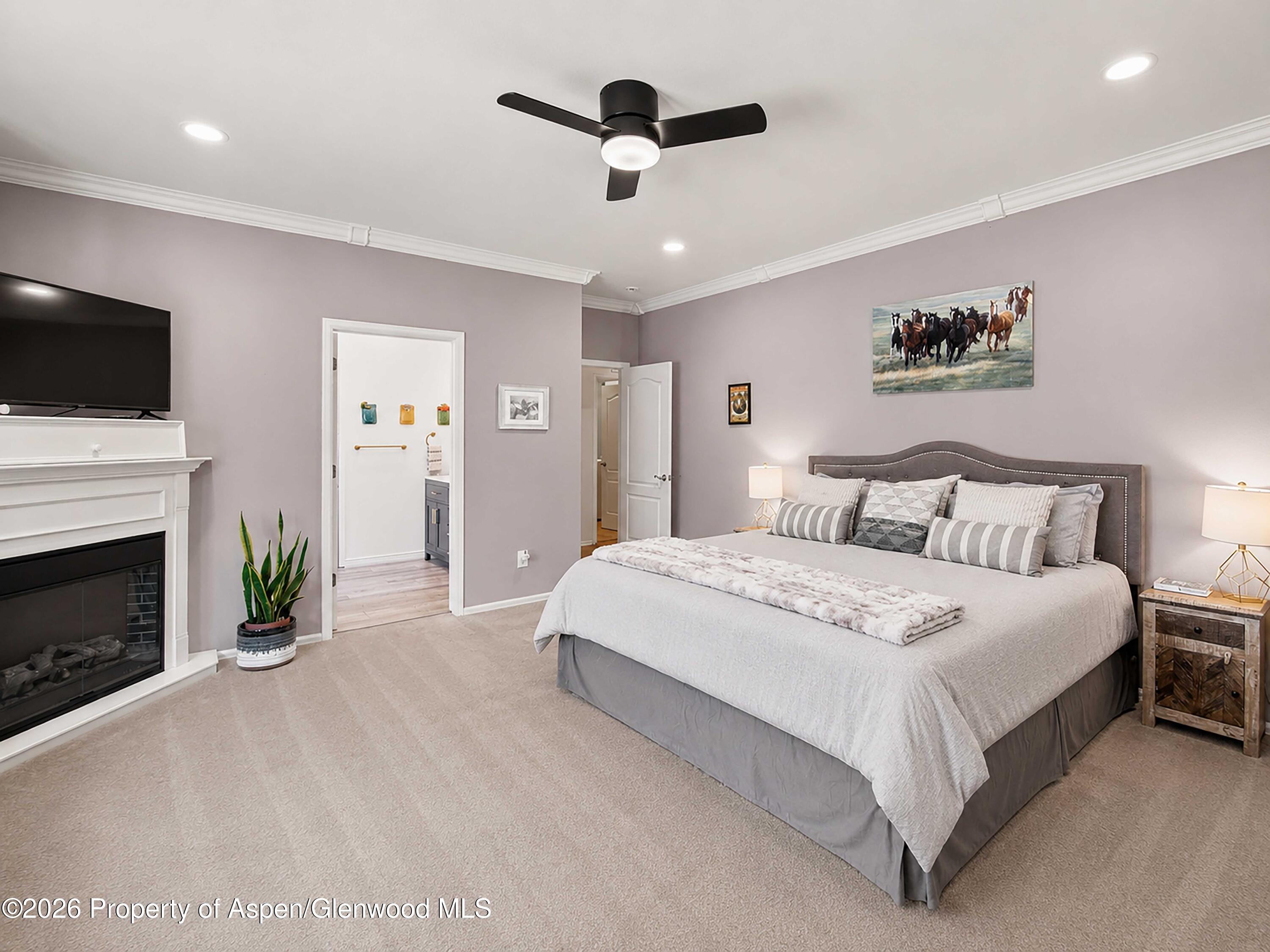 8 Stagecoach Lane Carbondale CO 81623