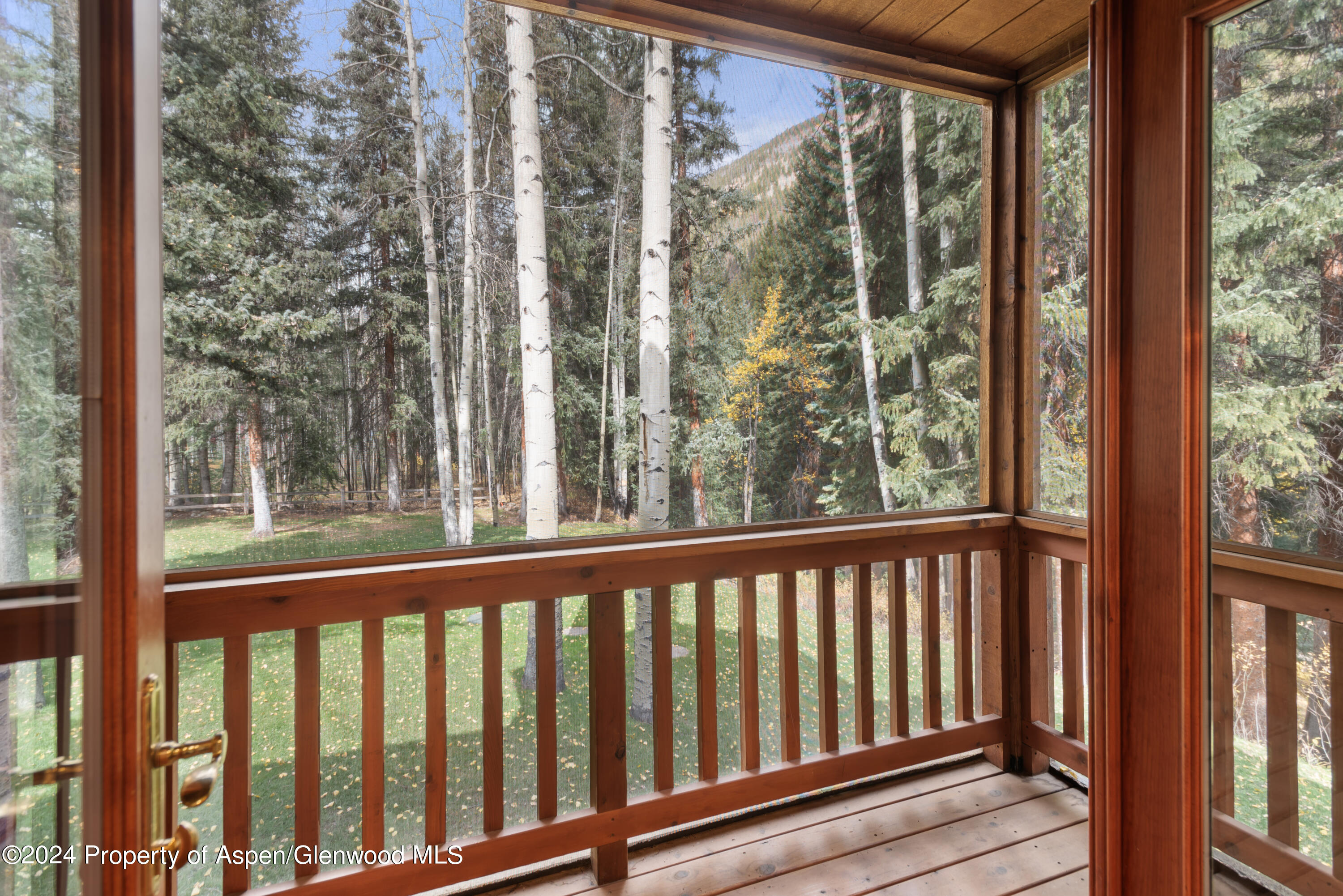 9676 Castle Creek Road Aspen CO 81611