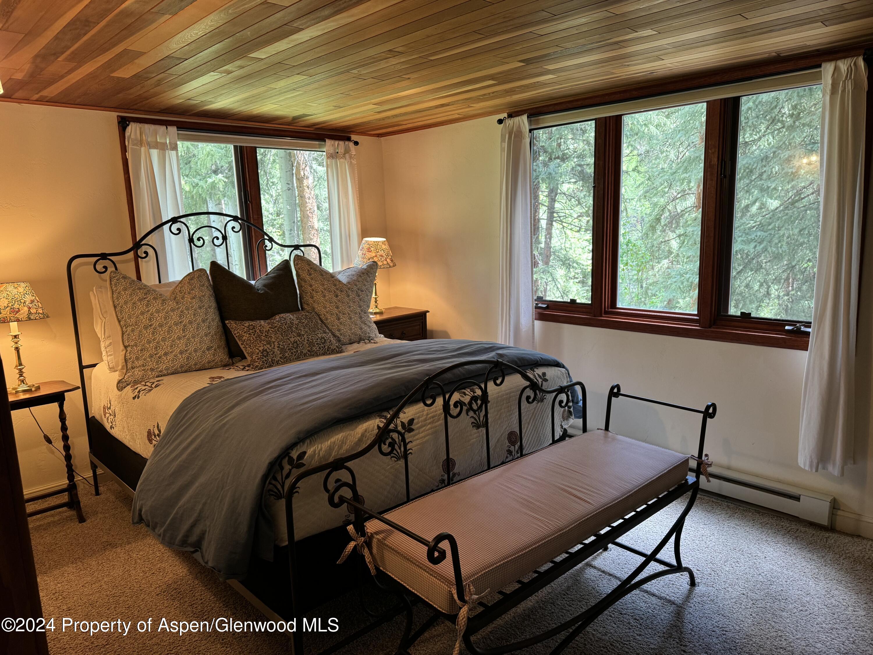 9676 Castle Creek Road Aspen CO 81611