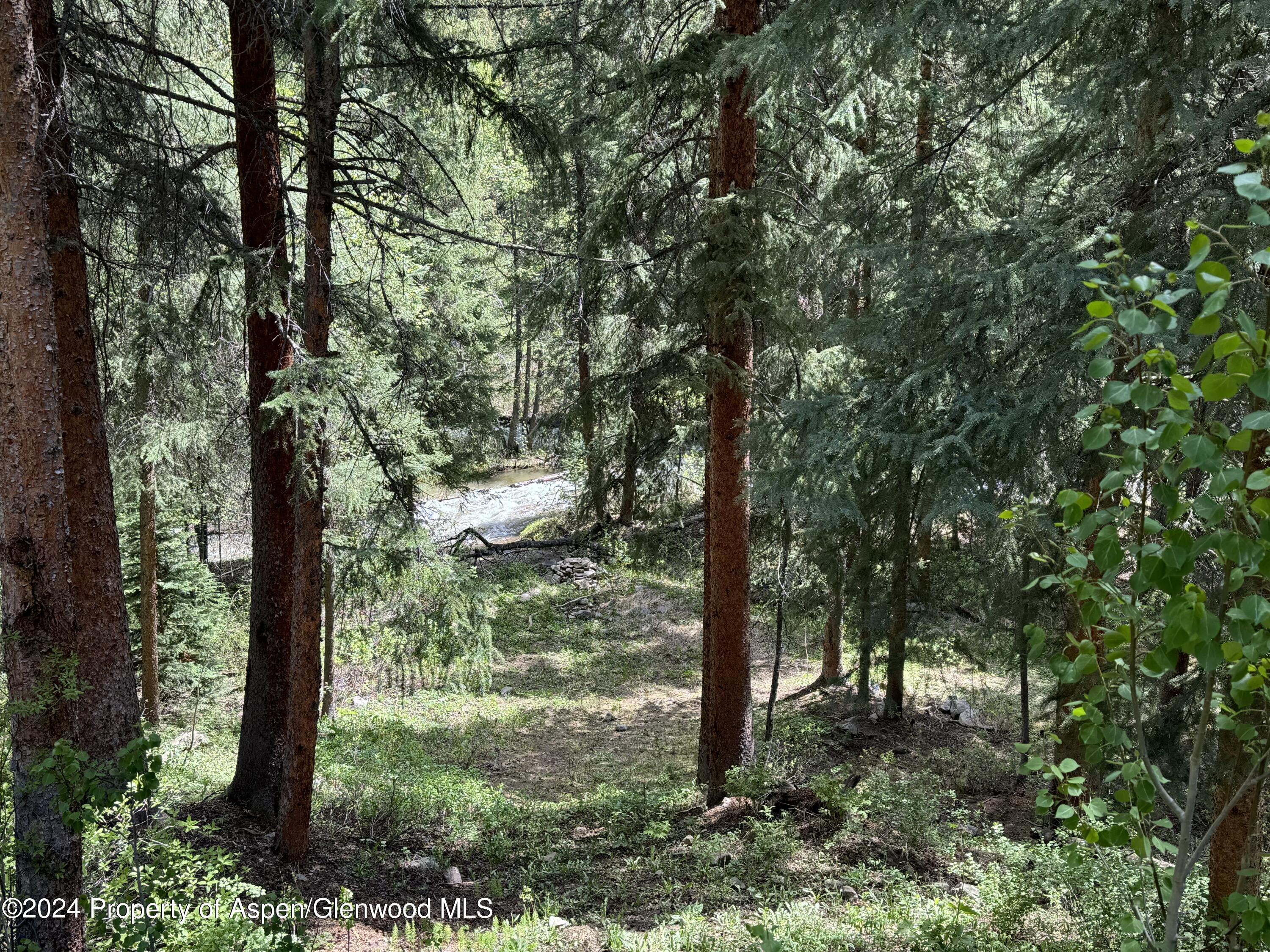 9676 Castle Creek Road Aspen CO 81611