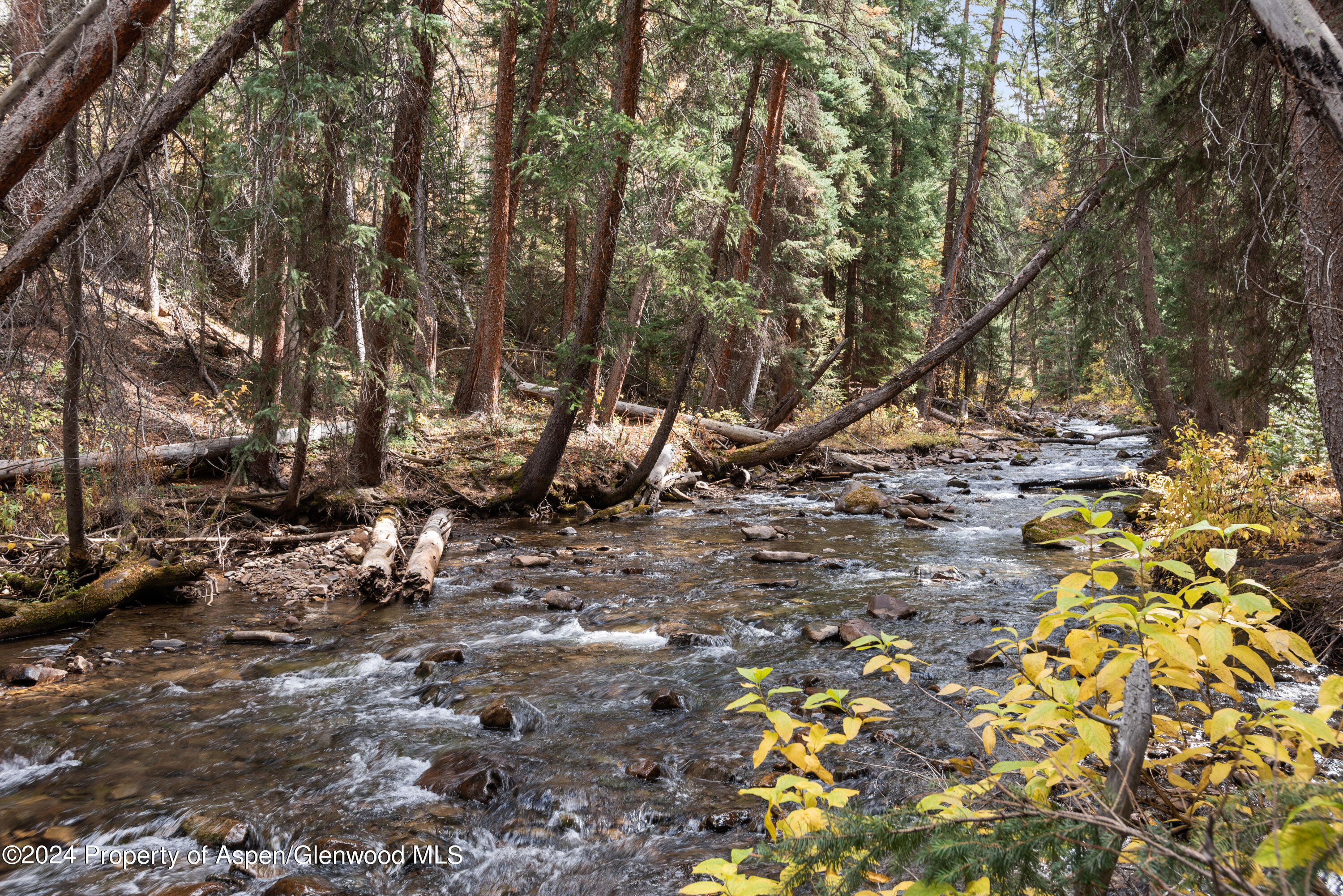 9676 Castle Creek Road Aspen CO 81611