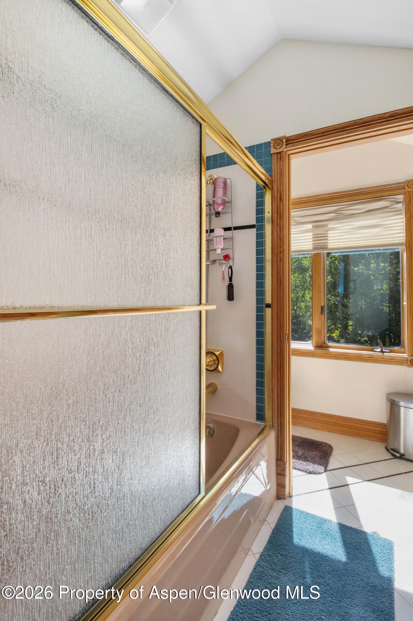 9 Creekside Court Glenwood Springs CO 81601