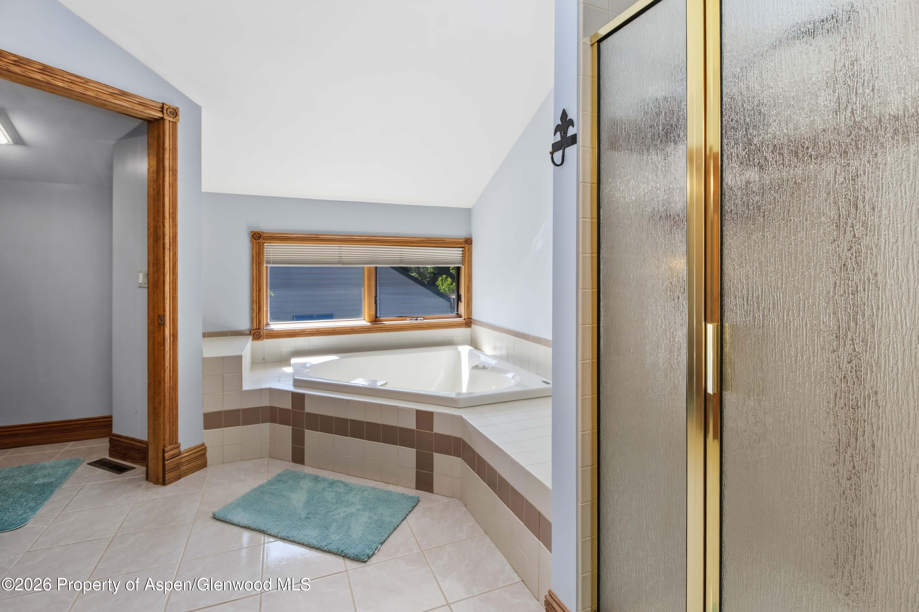 9 Creekside Court Glenwood Springs CO 81601