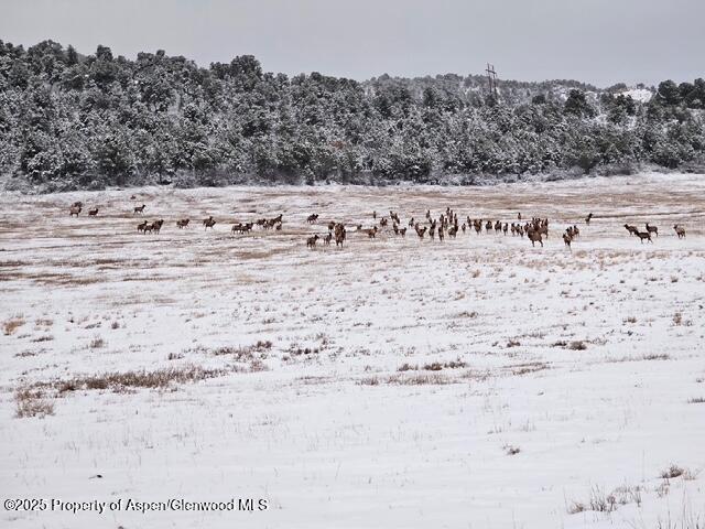 857 Indian Rock Road Silt CO 81652