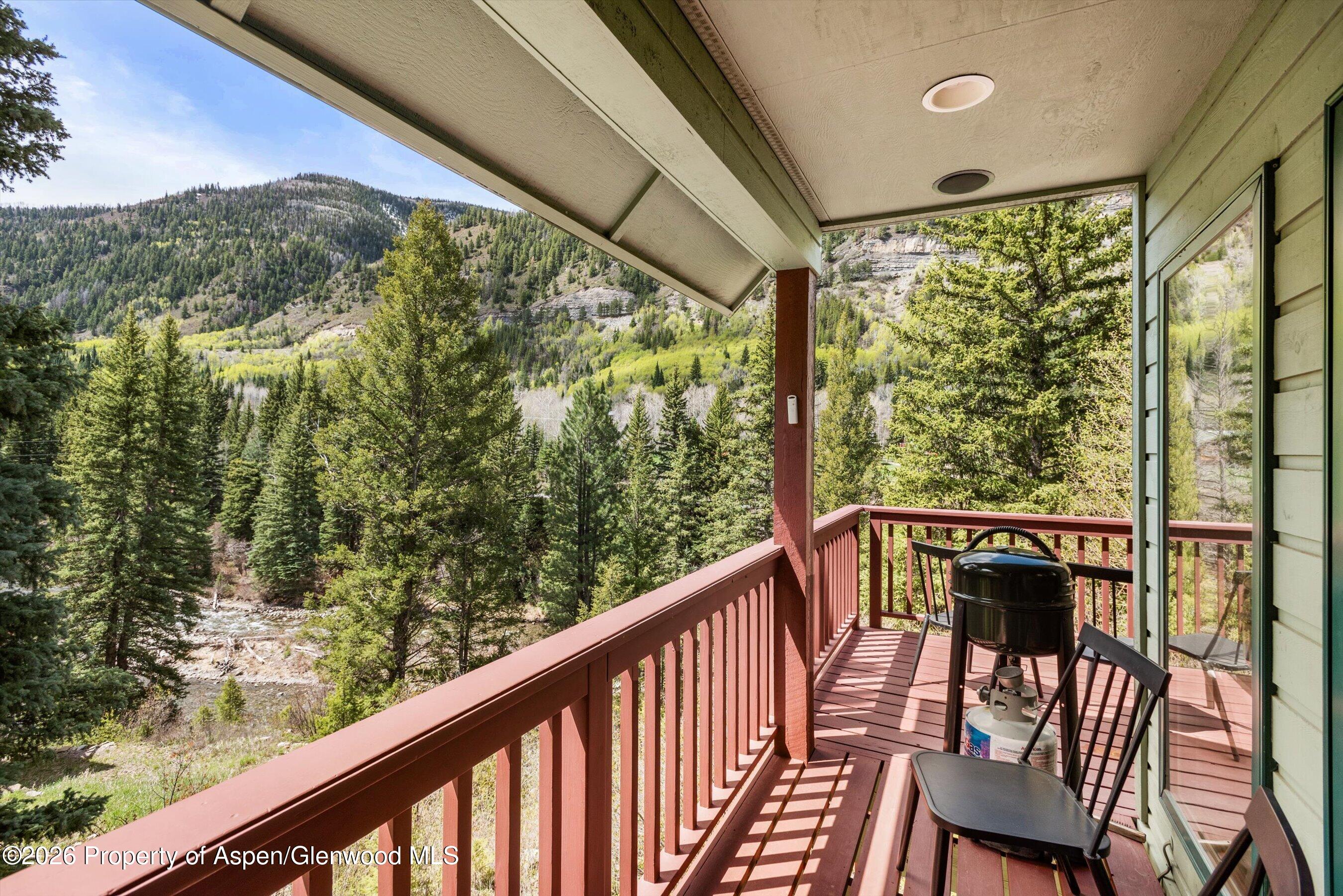1207 Evergreen Lane Marble CO 81623