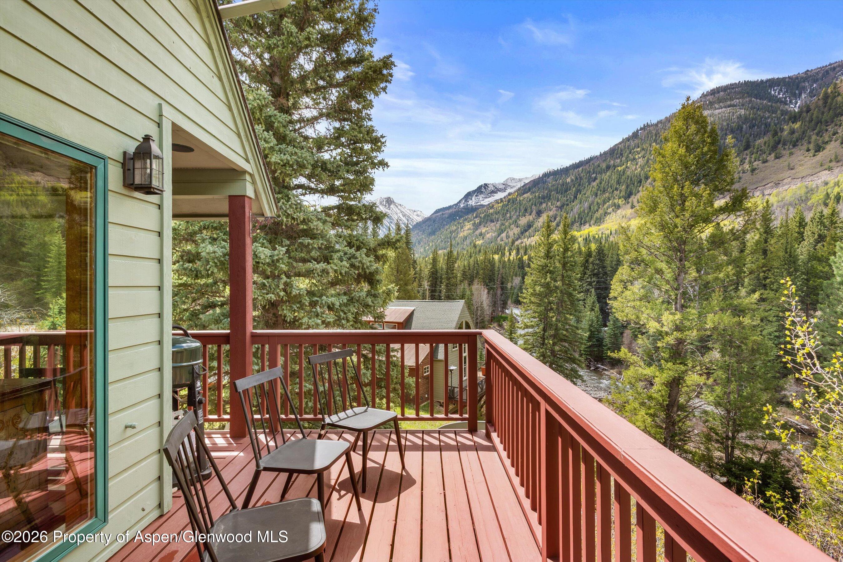 1207 Evergreen Lane Marble CO 81623