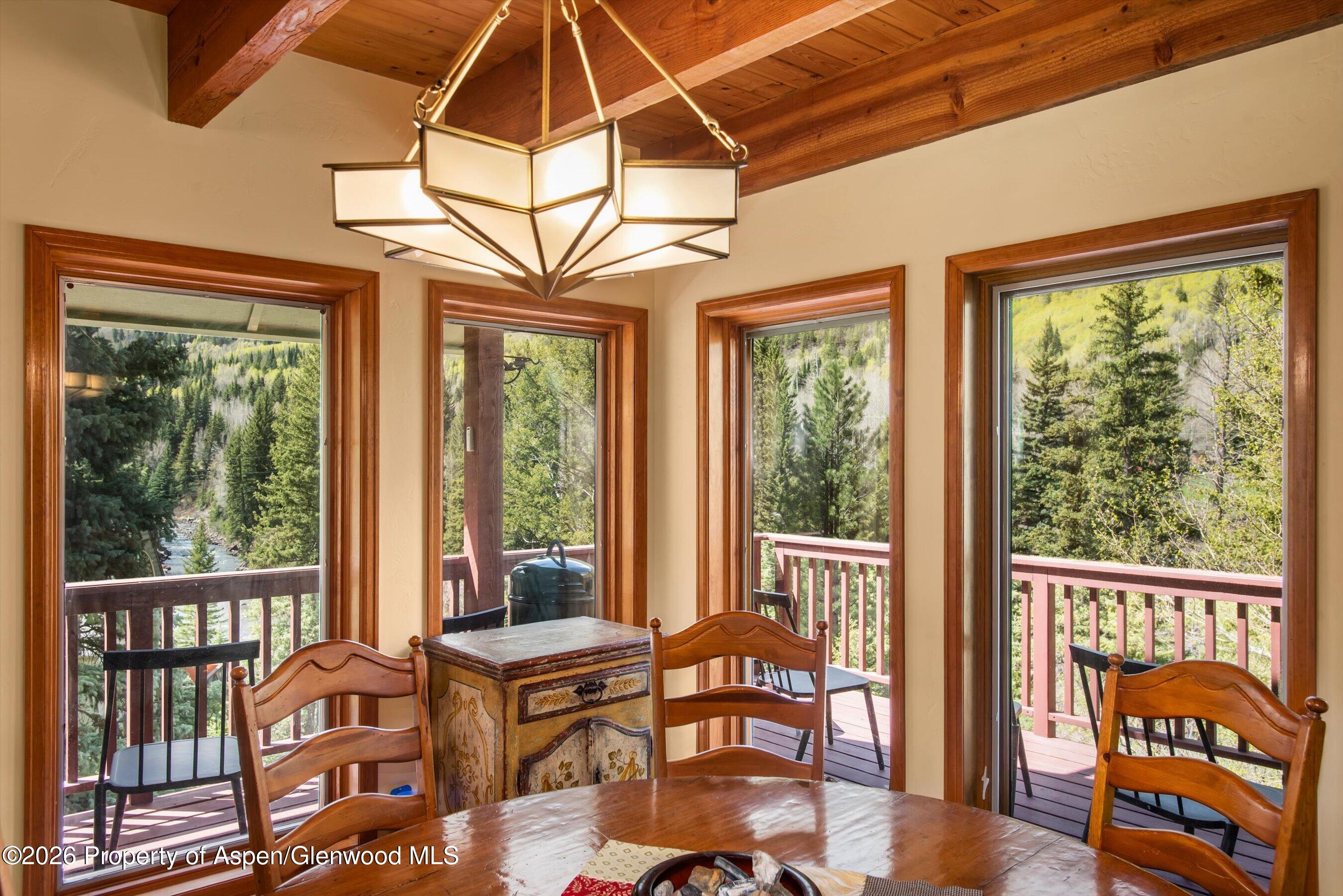 1207 Evergreen Lane Marble CO 81623
