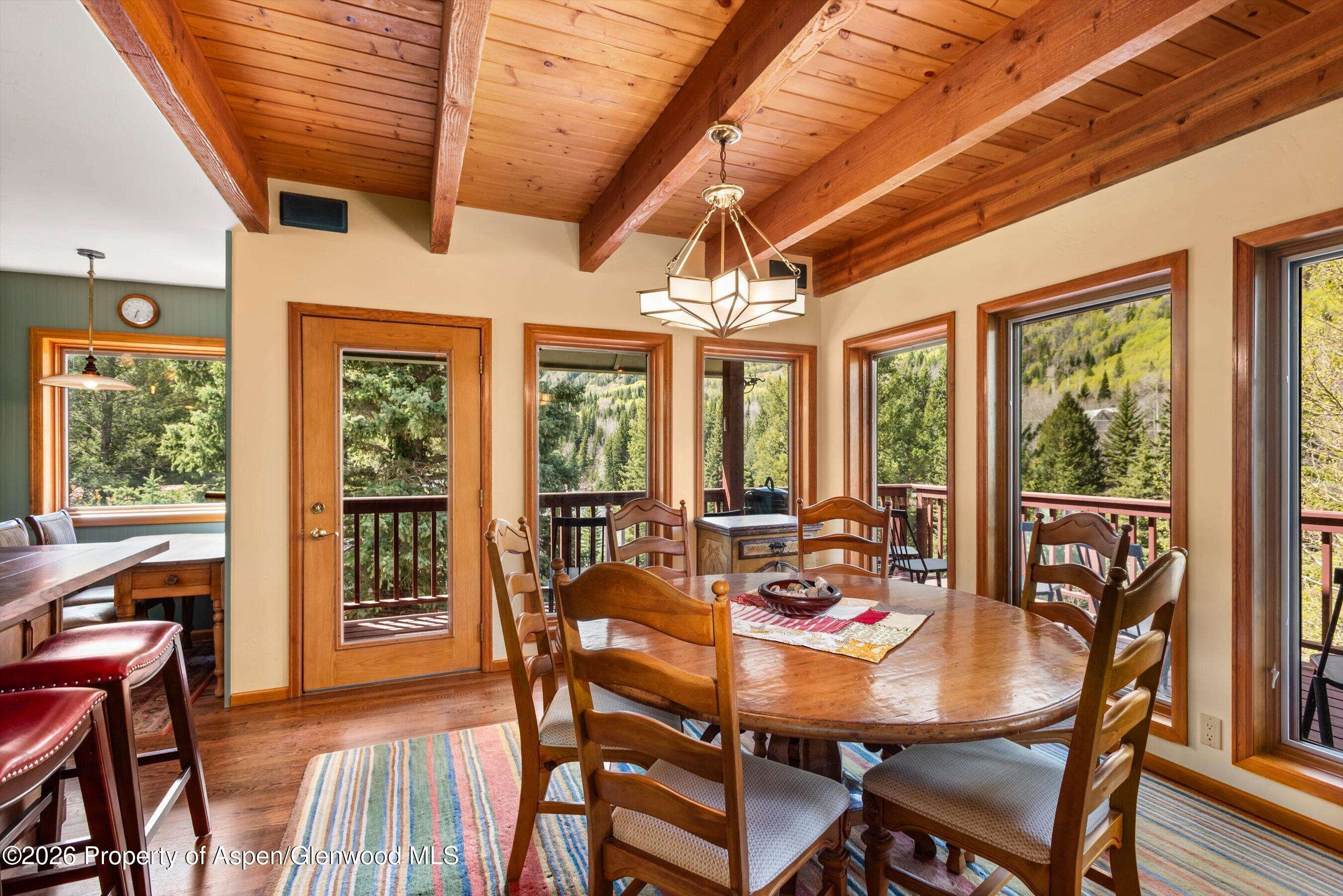 1207 Evergreen Lane Marble CO 81623