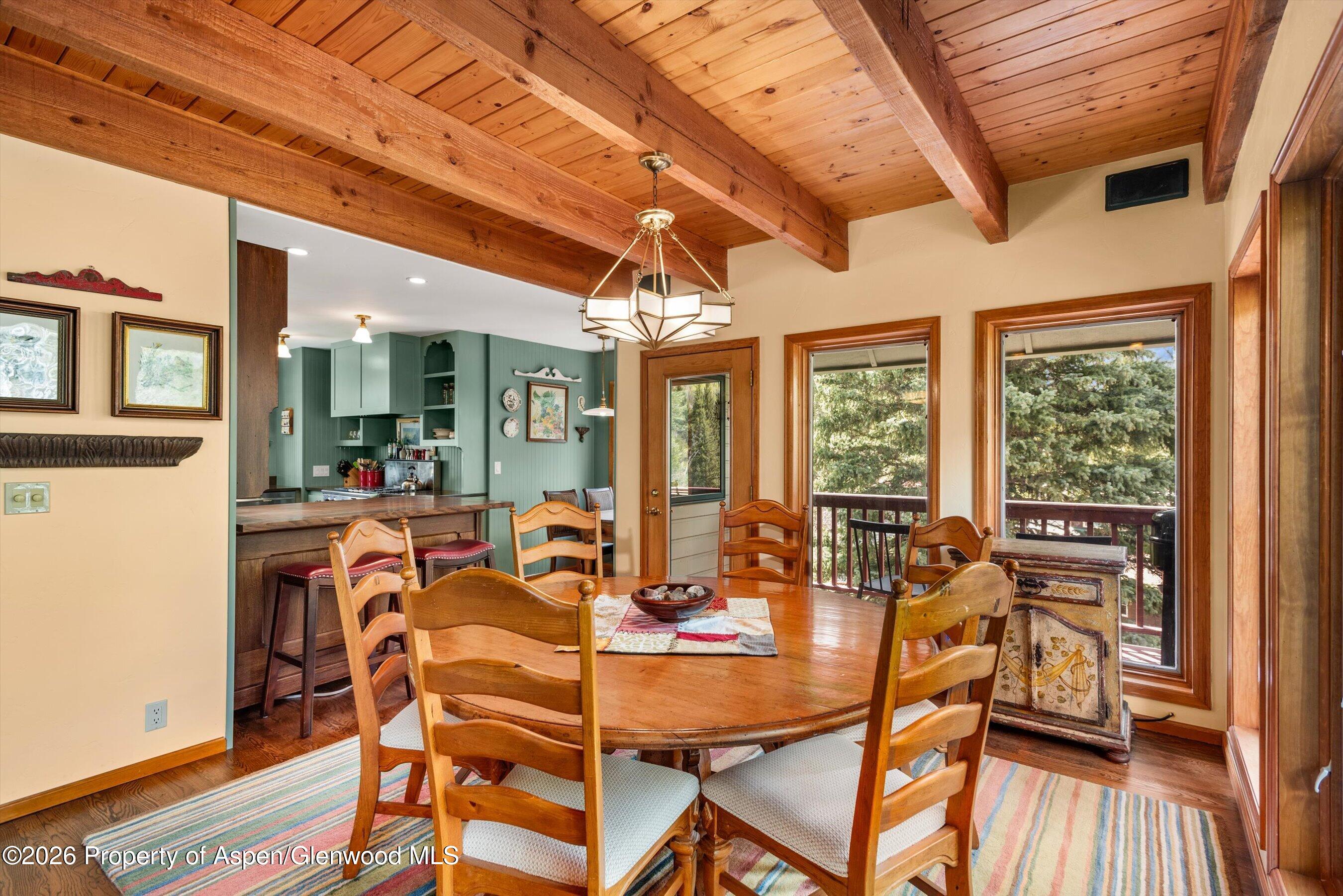 1207 Evergreen Lane Marble CO 81623