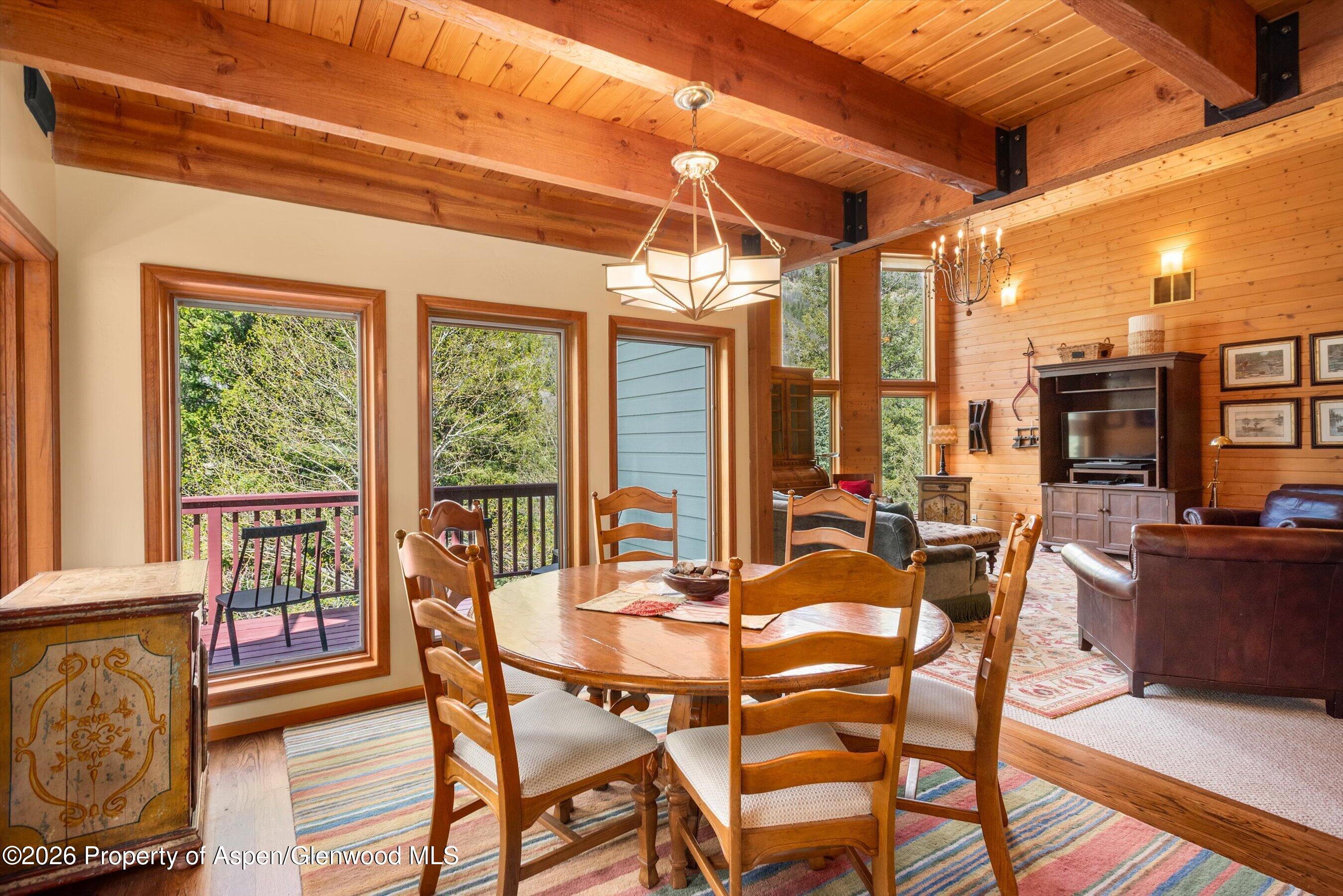 1207 Evergreen Lane Marble CO 81623