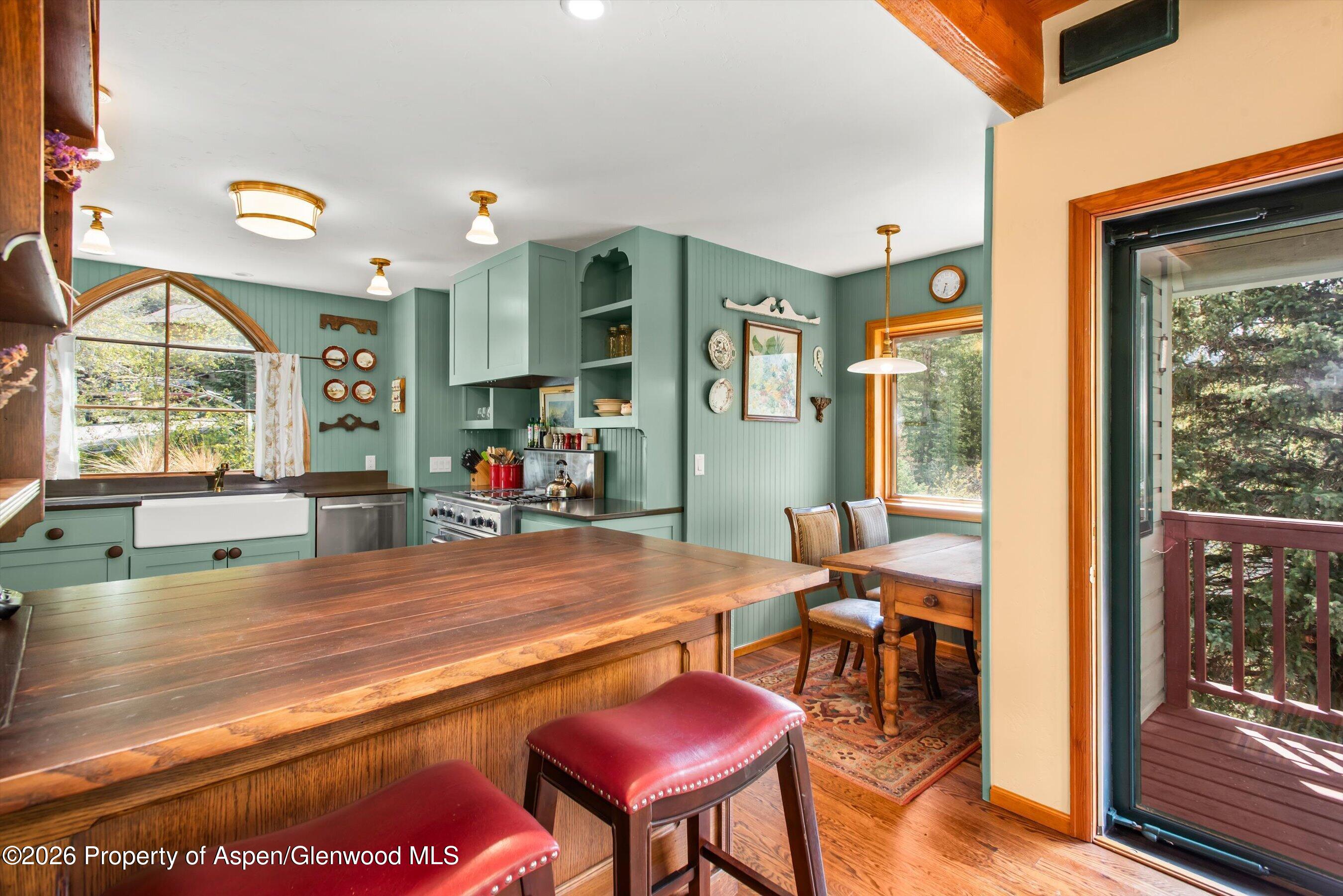 1207 Evergreen Lane Marble CO 81623