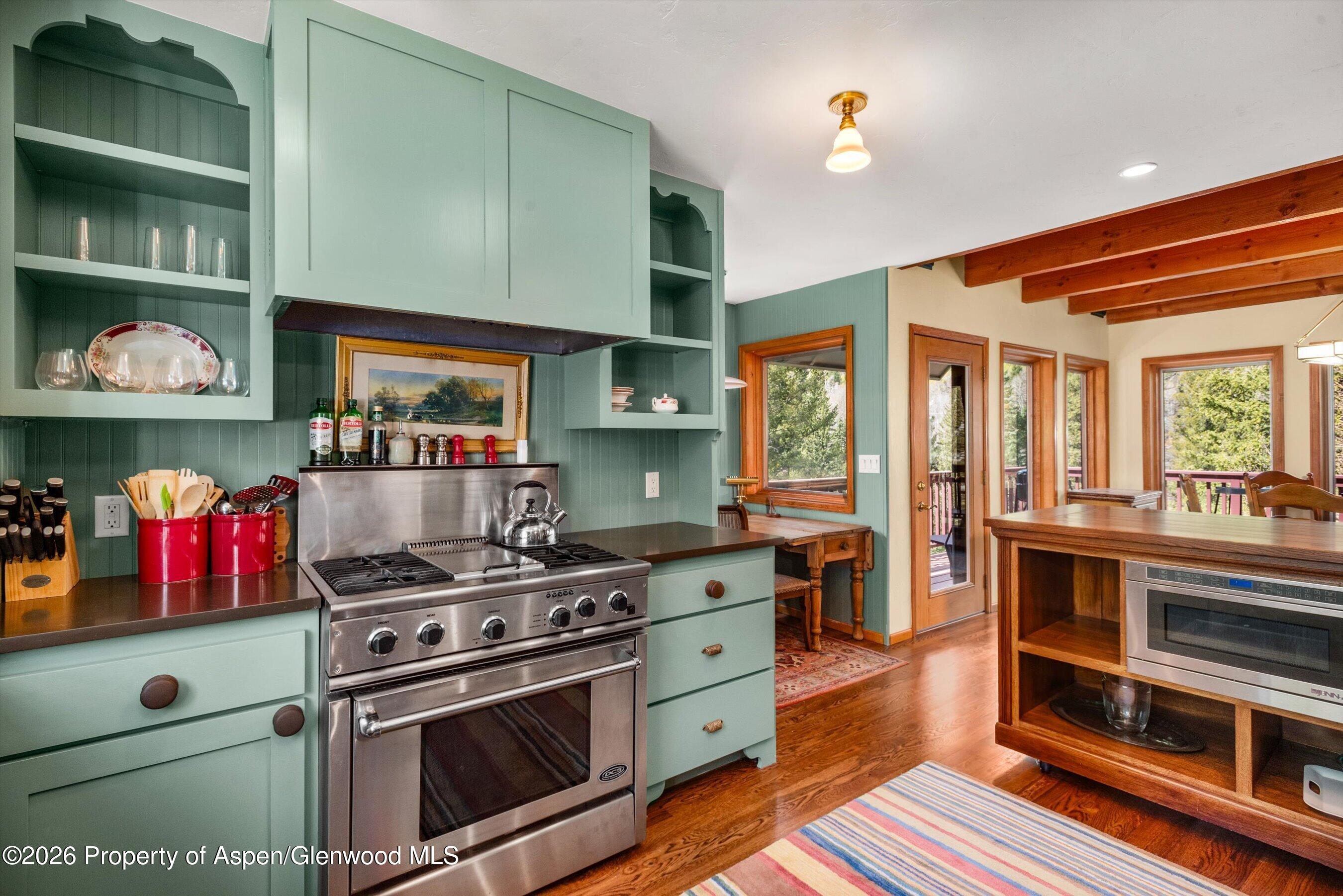 1207 Evergreen Lane Marble CO 81623