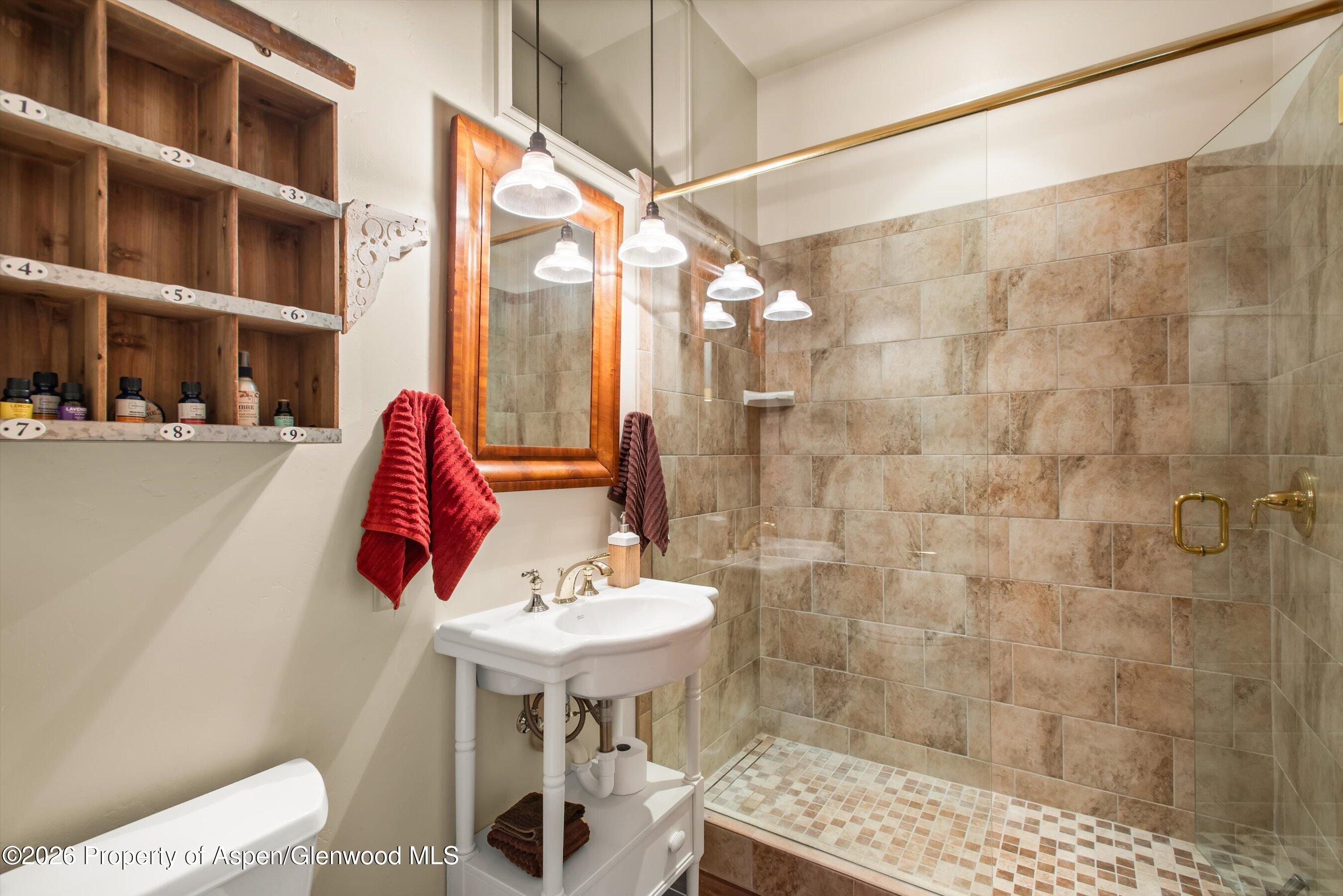 1207 Evergreen Lane Marble CO 81623