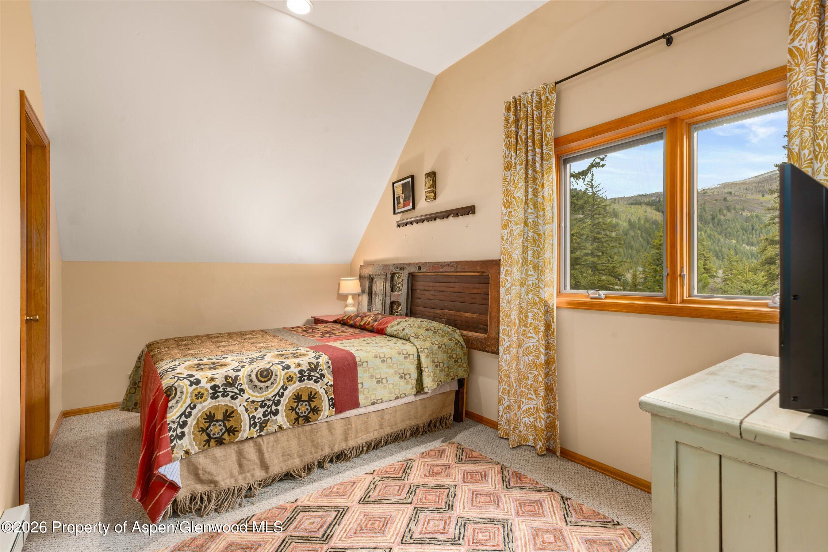 1207 Evergreen Lane Marble CO 81623