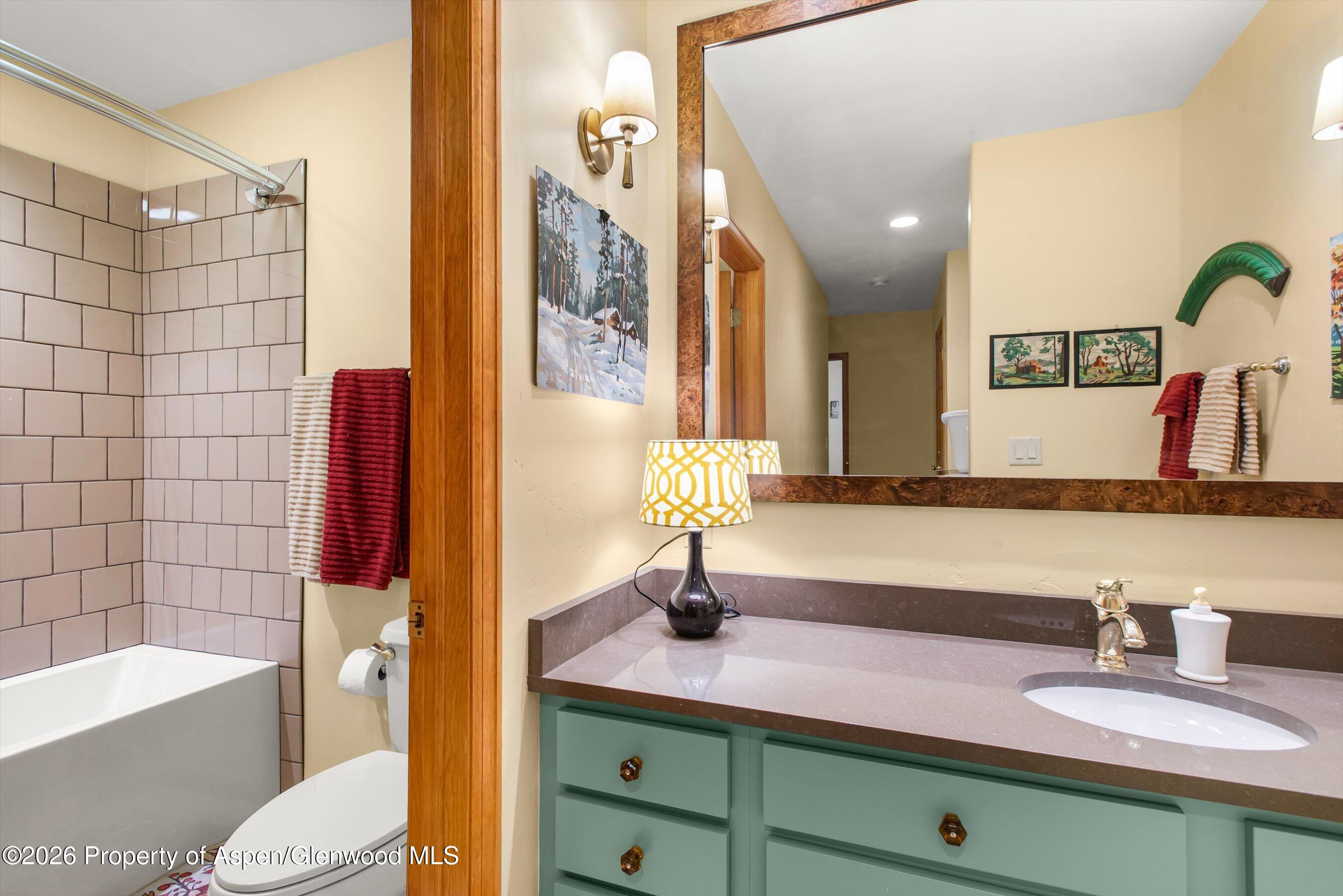 1207 Evergreen Lane Marble CO 81623