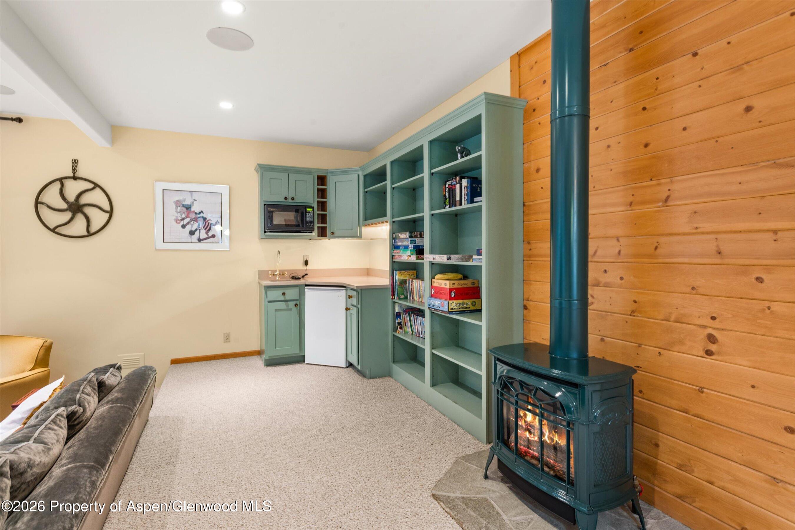 1207 Evergreen Lane Marble CO 81623