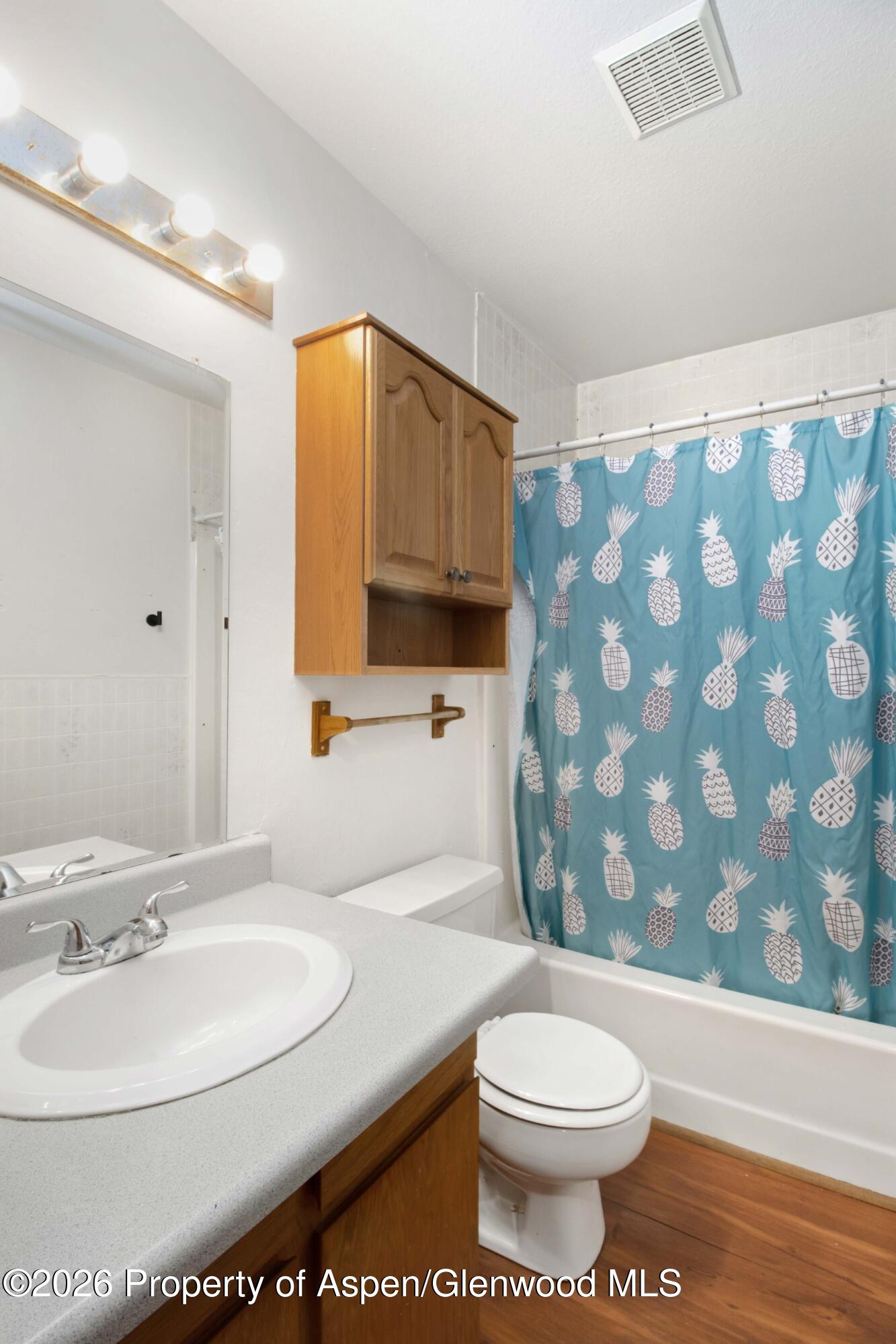 235 Cottonwood Drive New Castle CO 81647