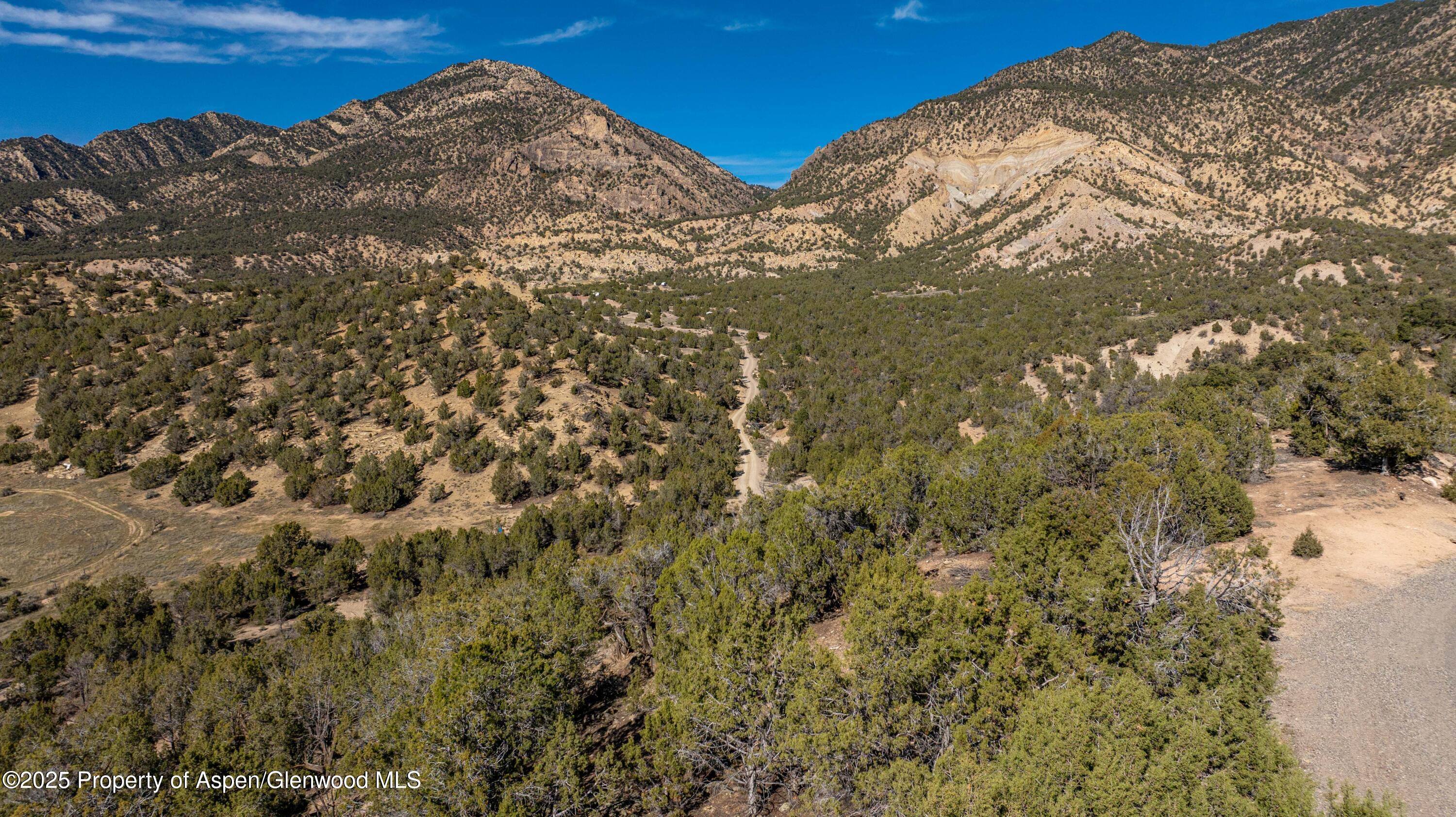 1171 County Road 259 Rifle CO 81650